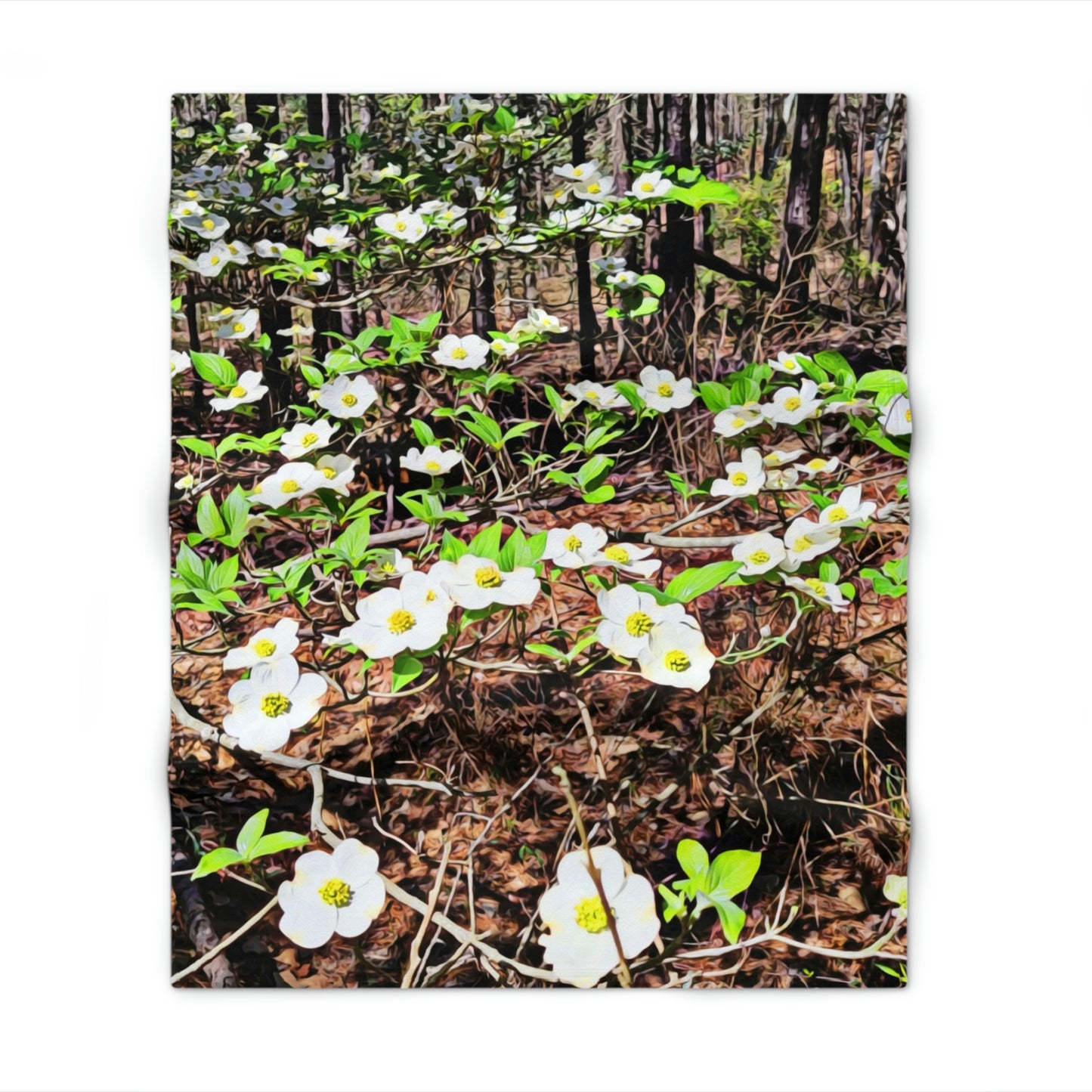 Dogwood Blossoms Throw Blanket