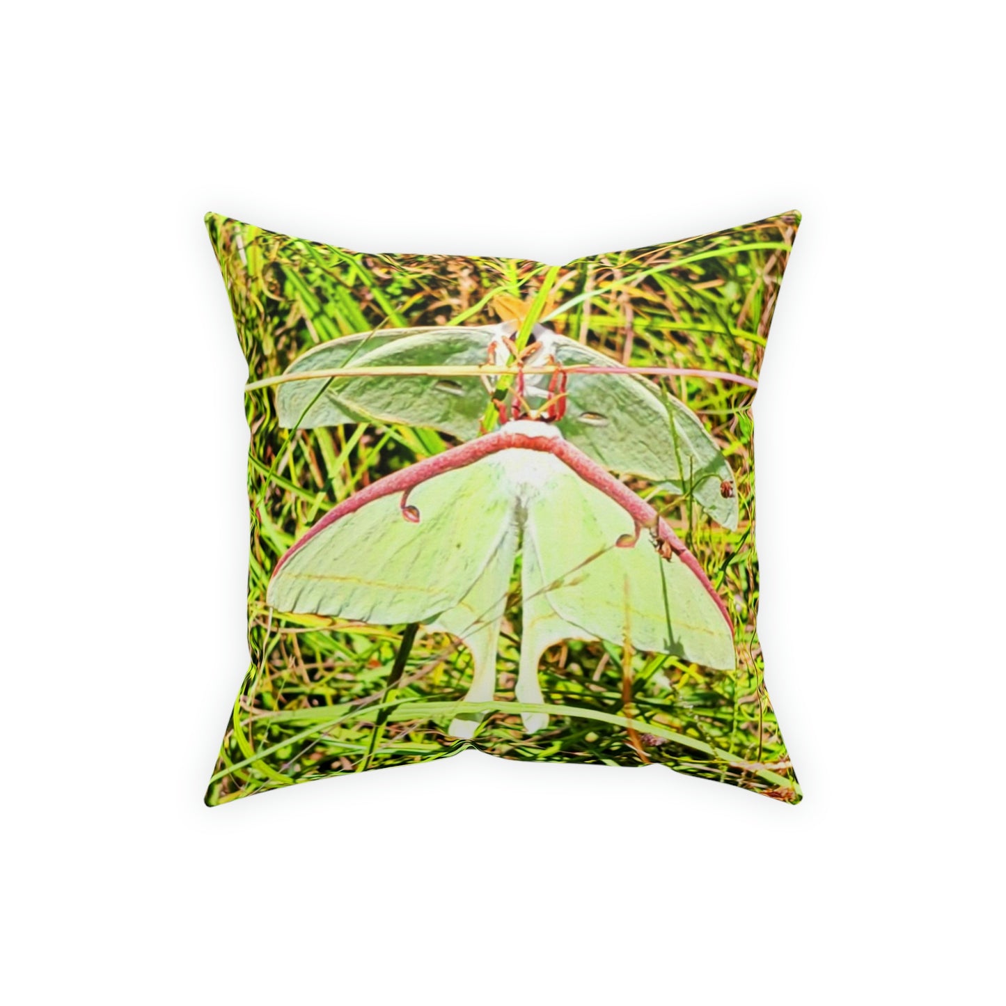 Luna Moths Broadcloth Pillow