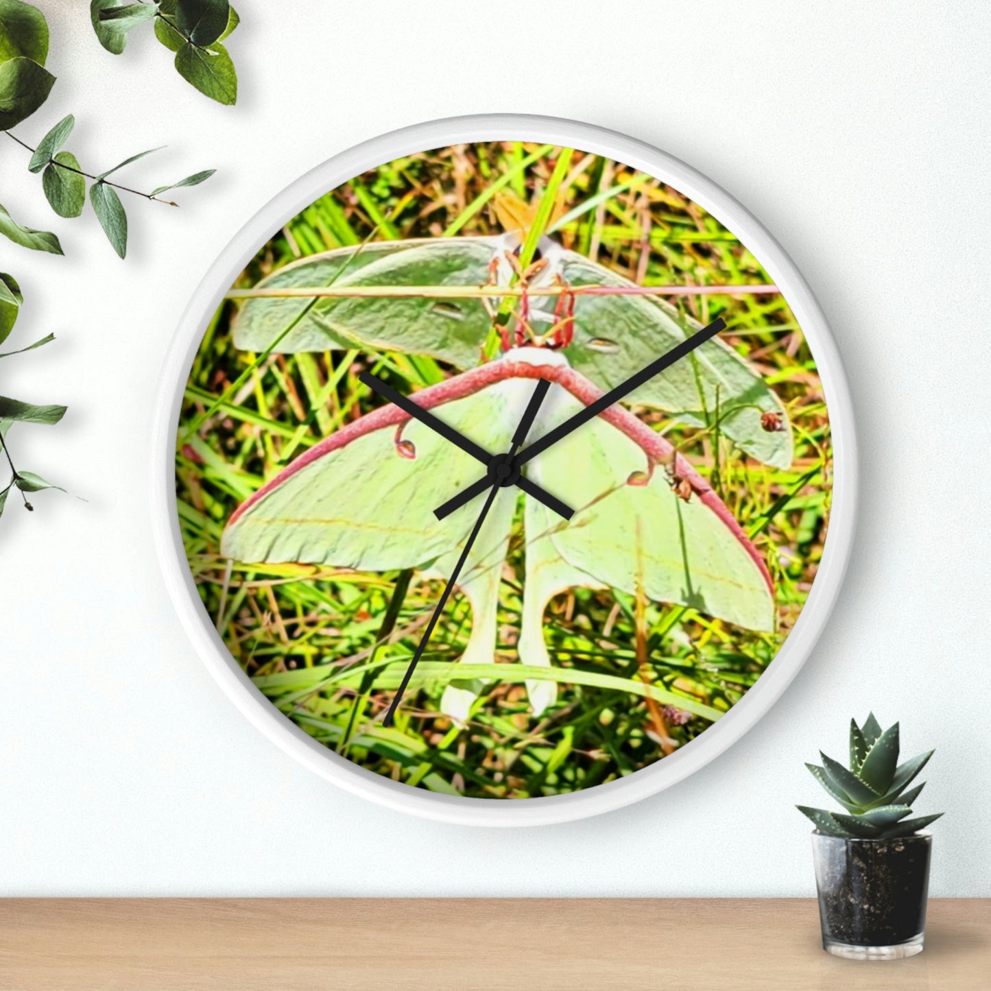 Luna Moths of Kisatchie Wall Clocks