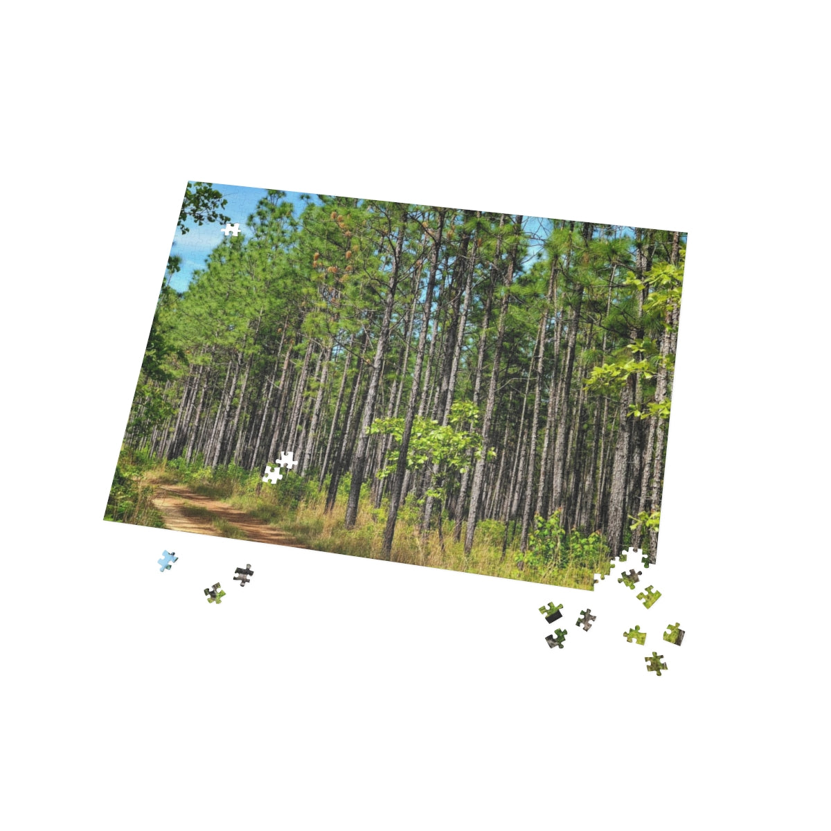 Kisatchie Pines Puzzle (4 Sizes)