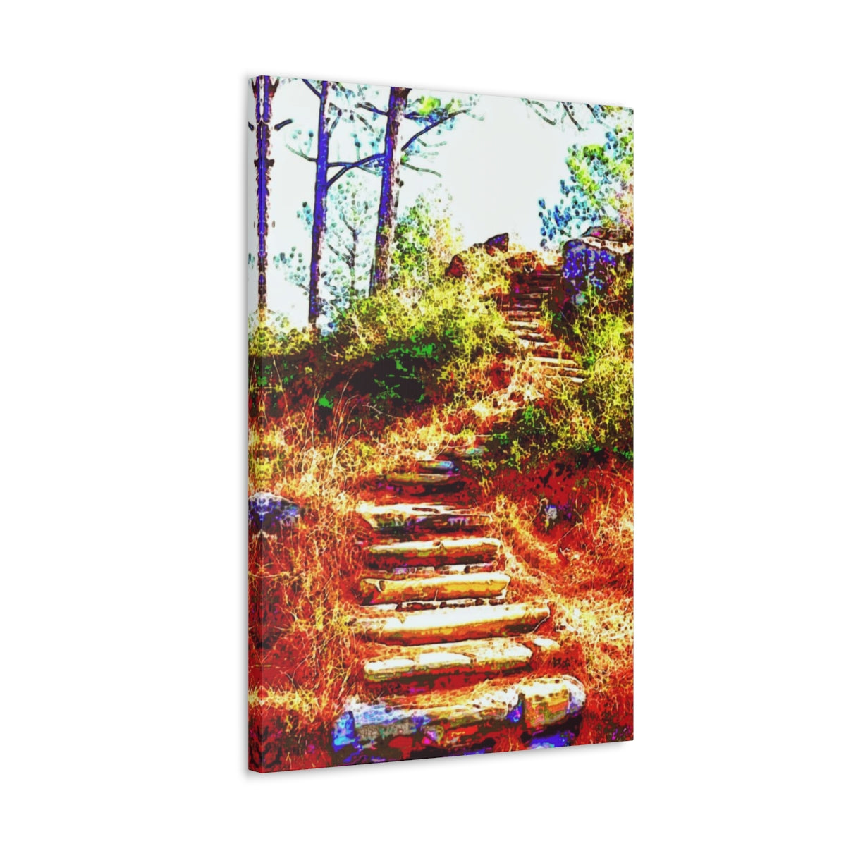 Longleaf Vista 2:3 Canvas Gallery Wraps