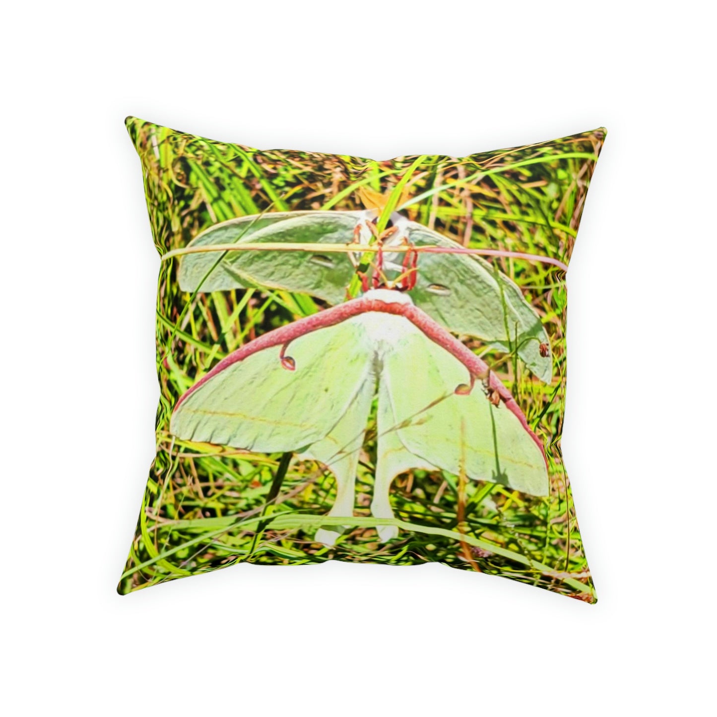 Luna Moths Broadcloth Pillow