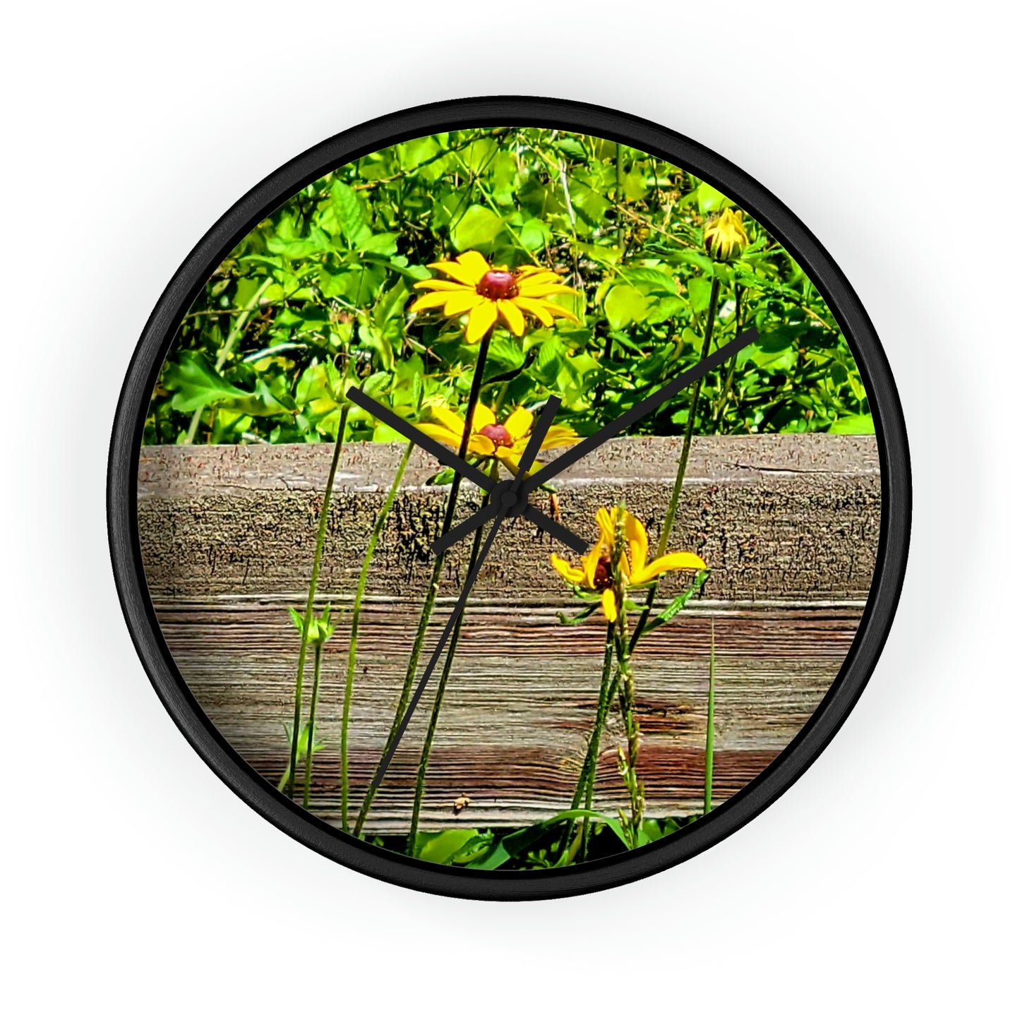 Kisatchie Wildflower Clocks