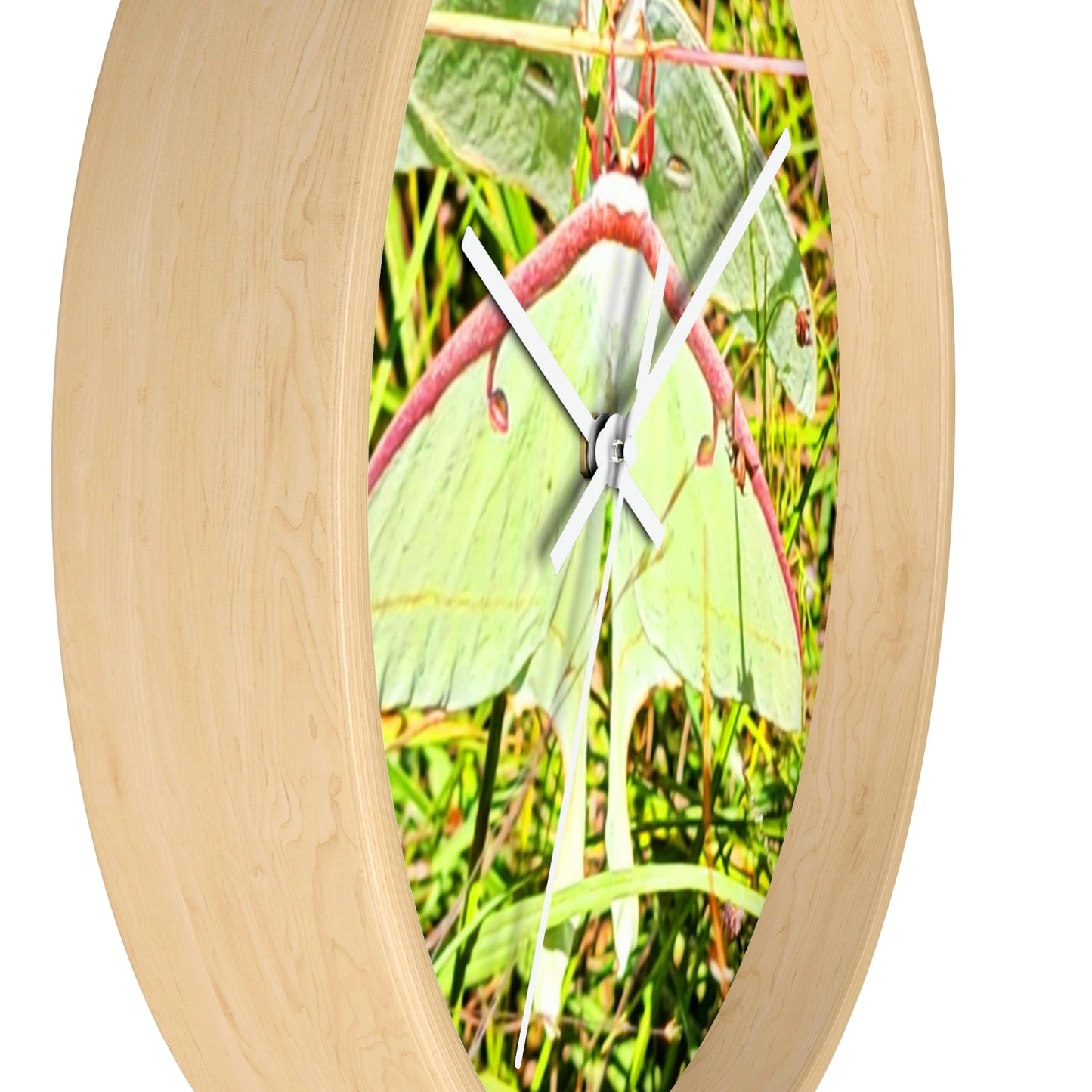 Luna Moths of Kisatchie Wall Clocks