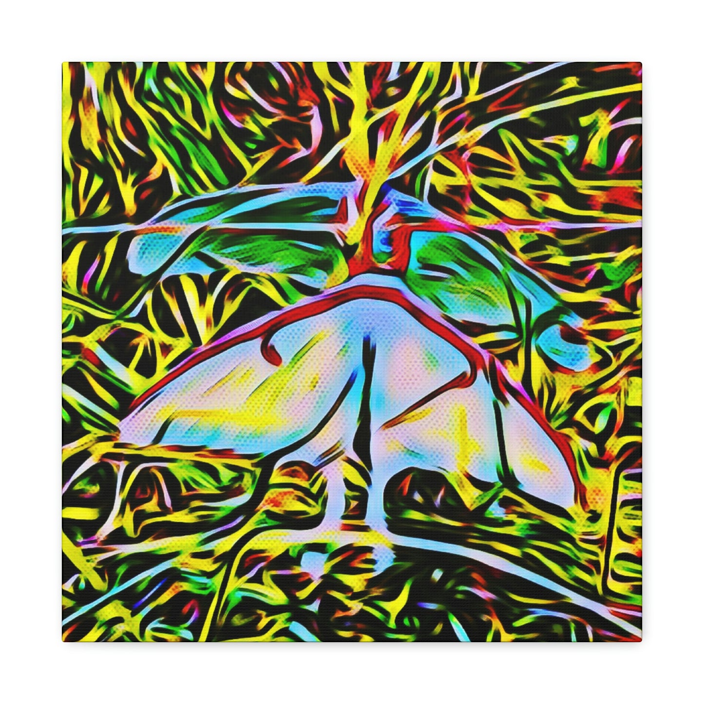 Luna Moths Canvas Gallery Wraps