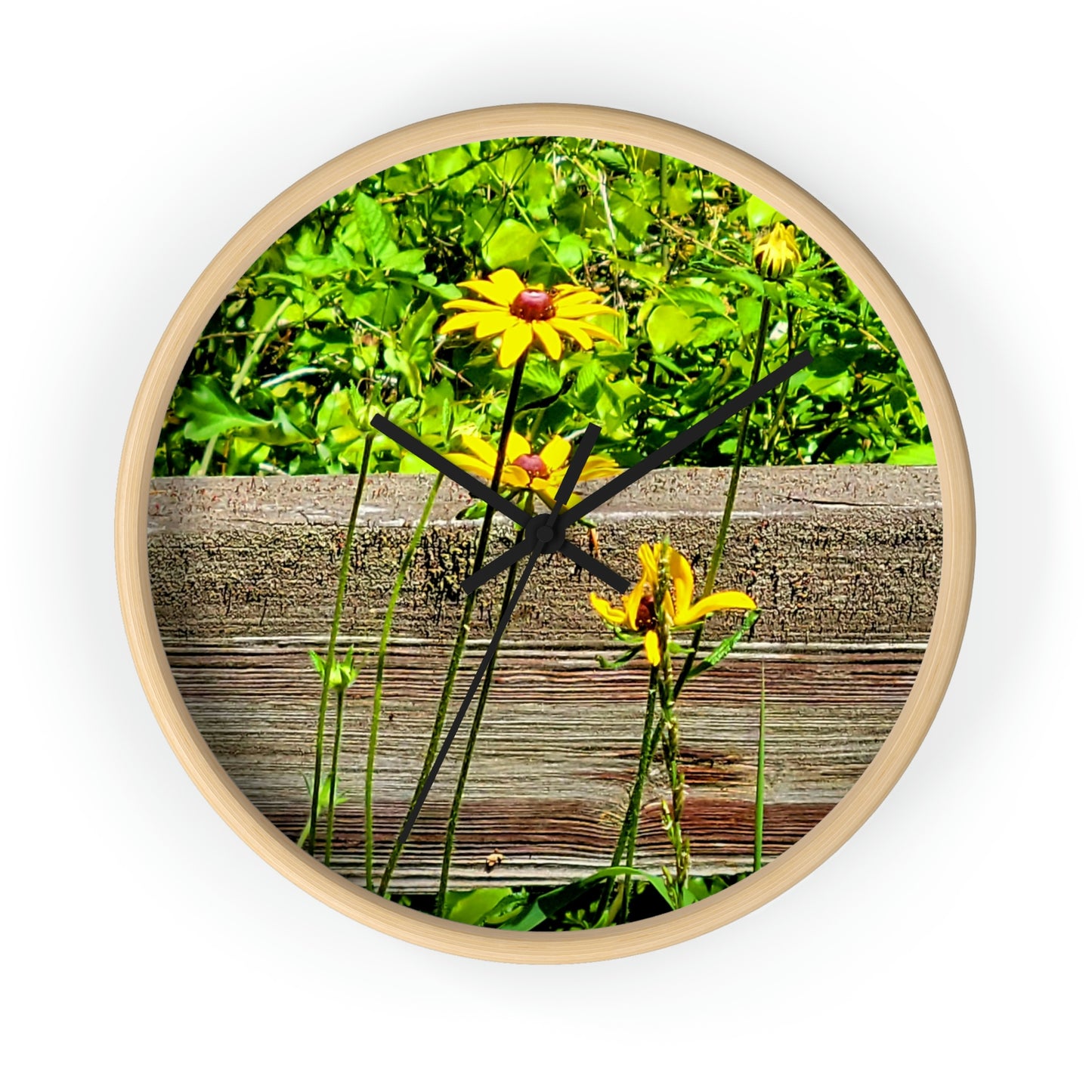 Kisatchie Wildflower Clocks