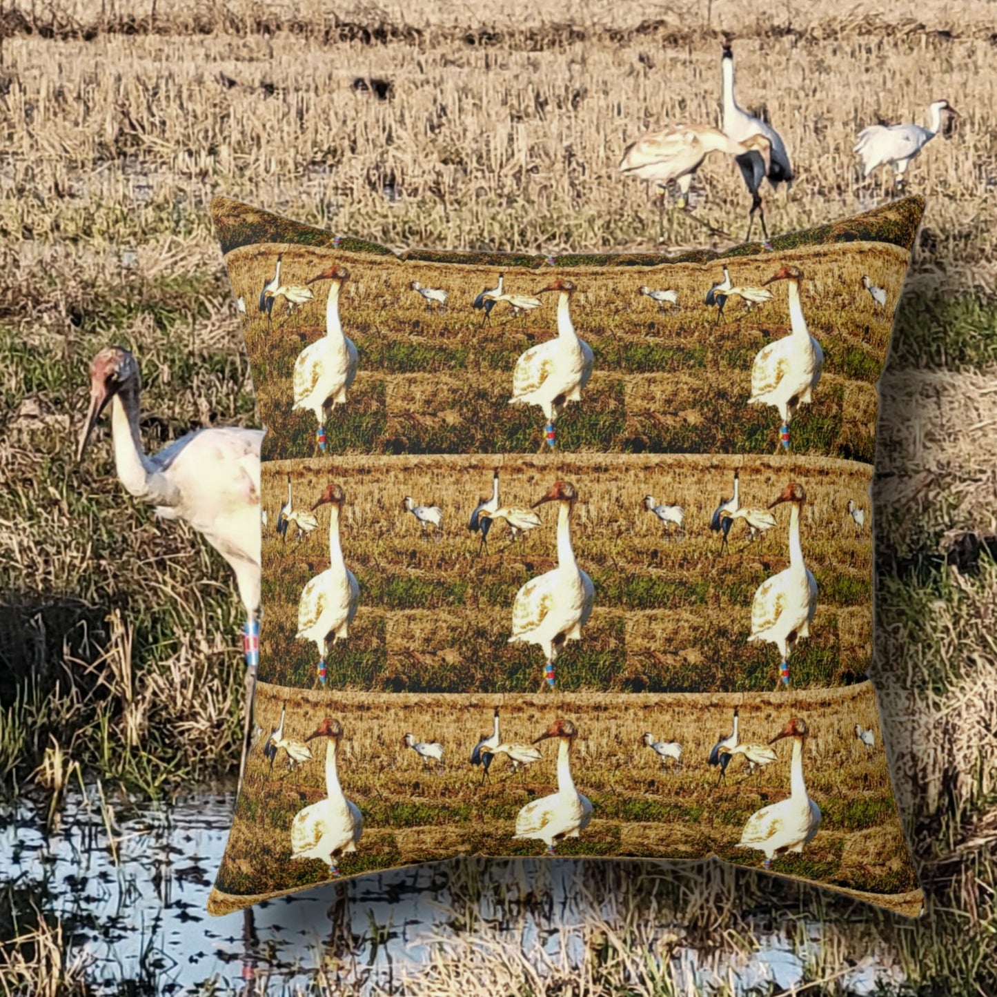 Louisiana Whooping Cranes Pillow