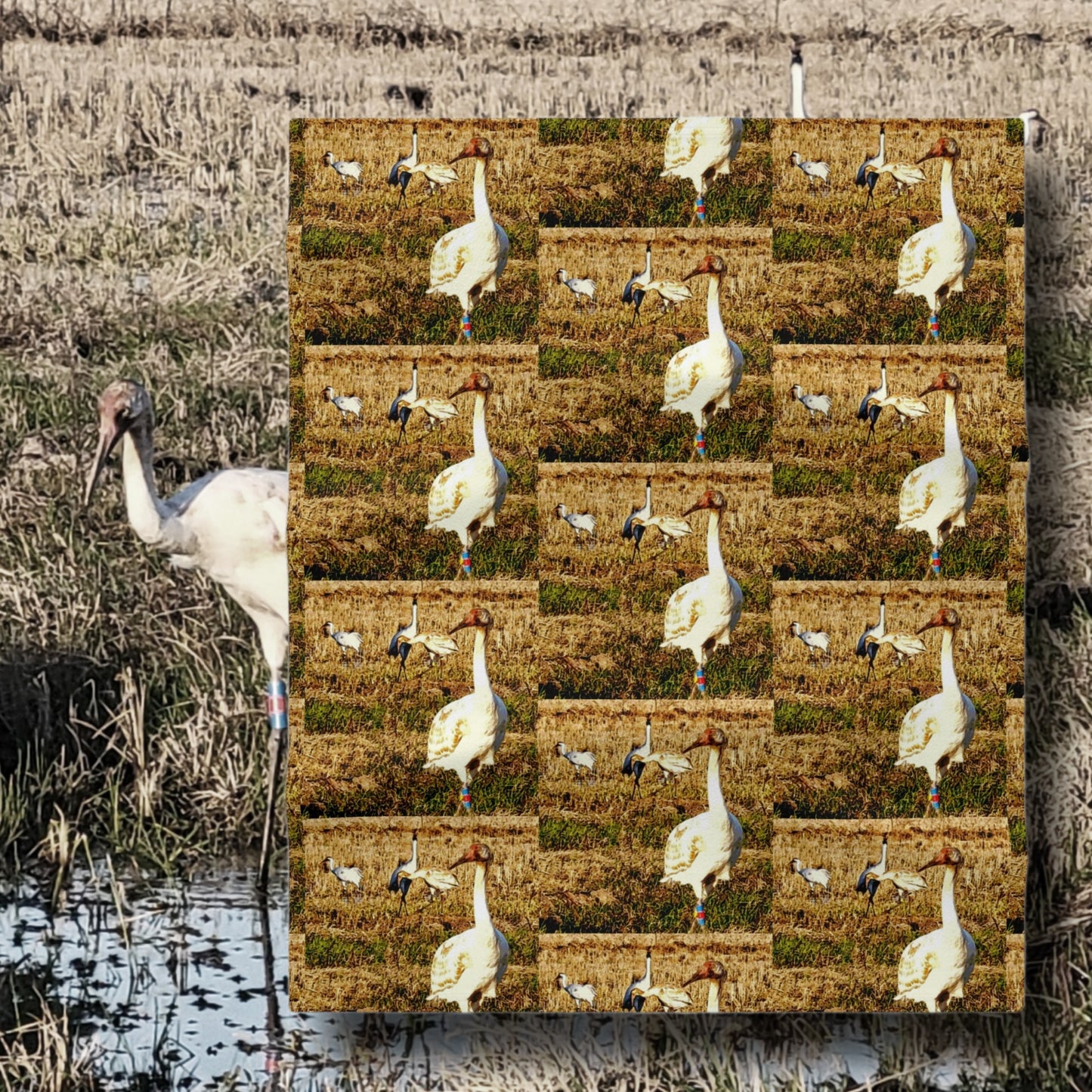 Louisiana Whooping Cranes Throw Blanket