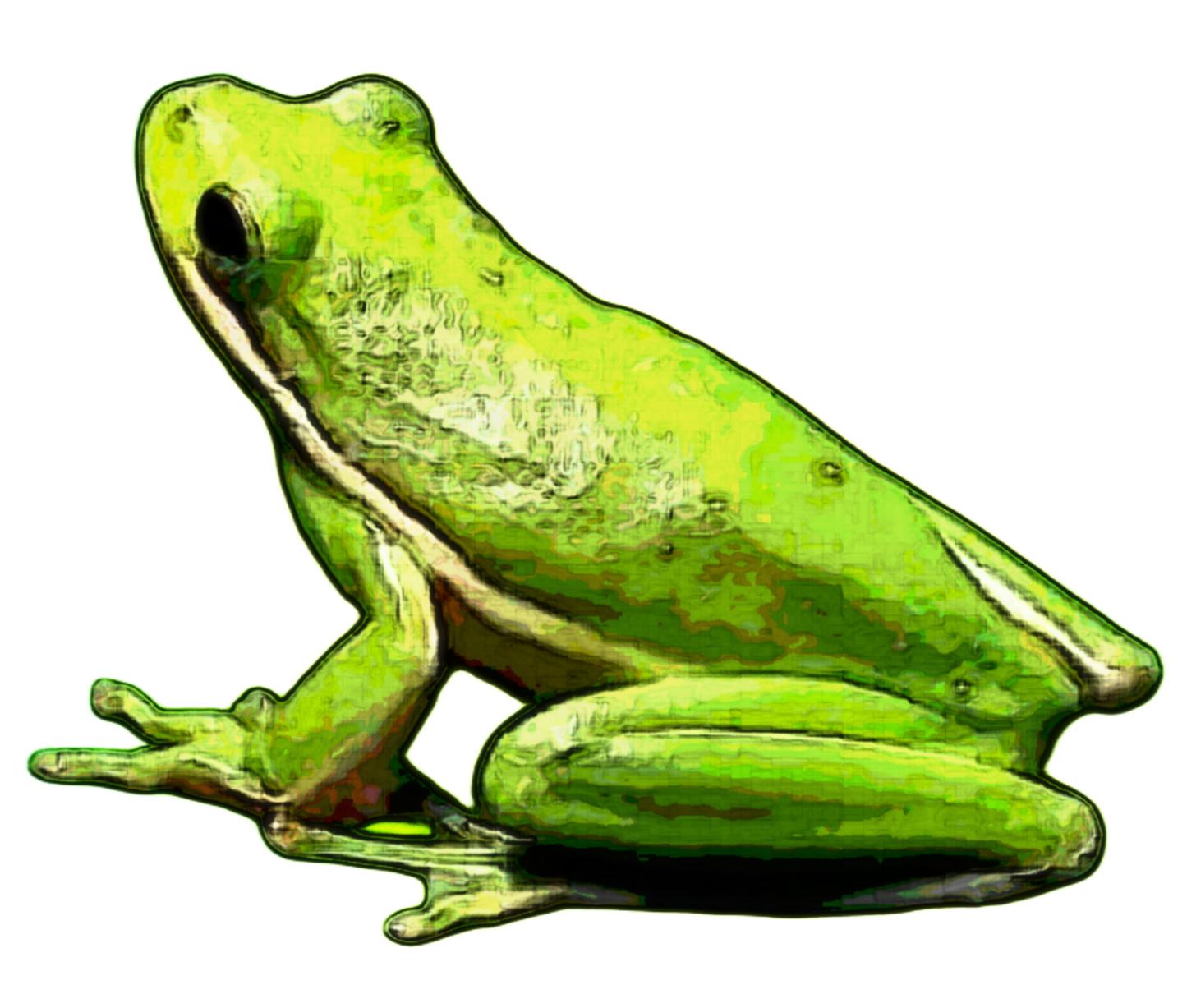 Tree Frog Slim Water Bottle