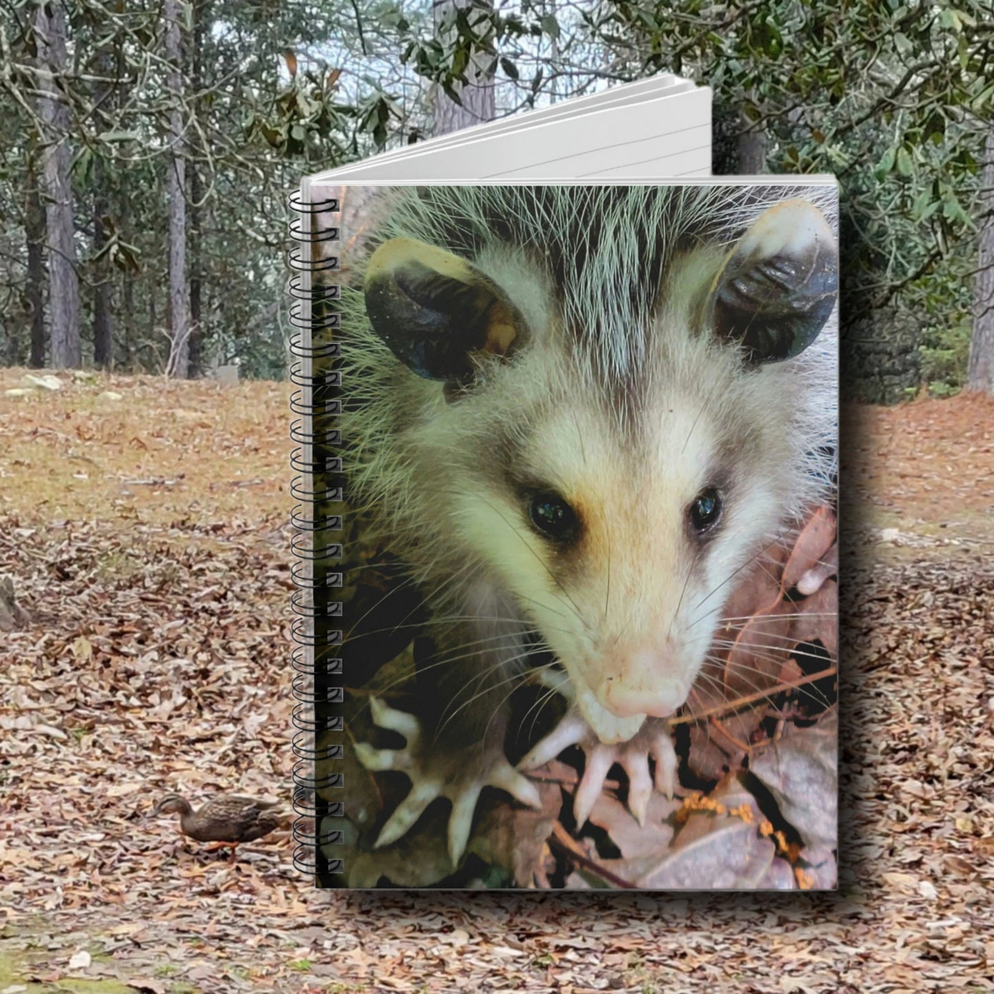 Opossum Spiral Notebook