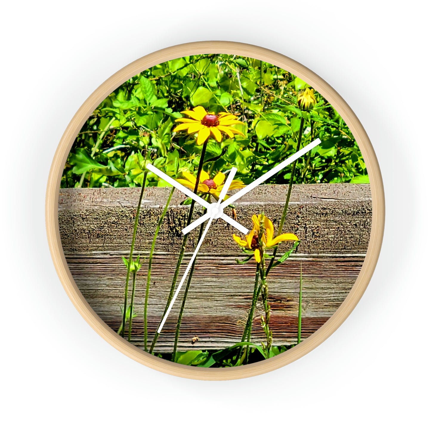 Kisatchie Wildflower Clocks