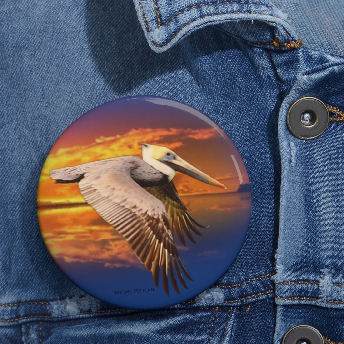 Louisiana Brown Pelican Buttons