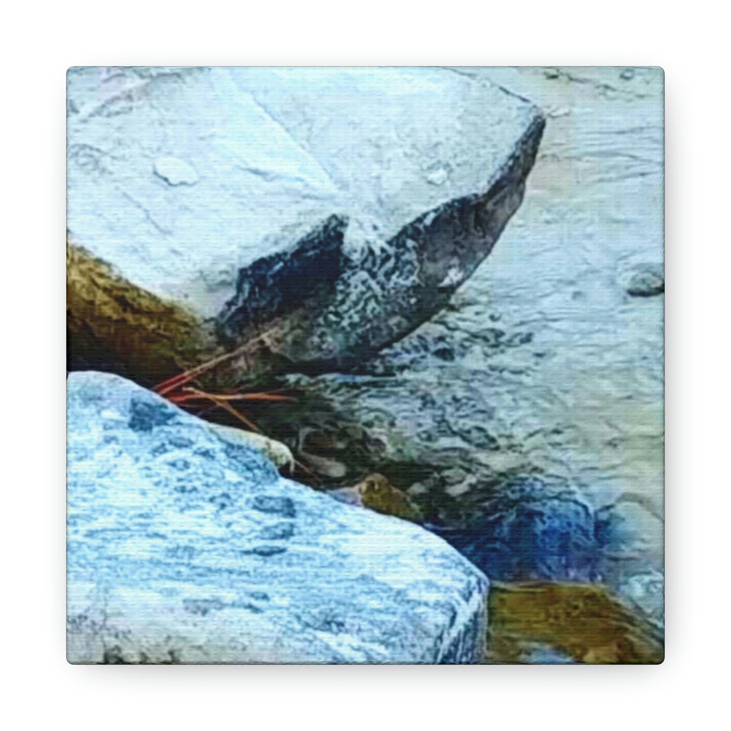 Kisatchie Bayou Rocks Canvas Gallery Wraps