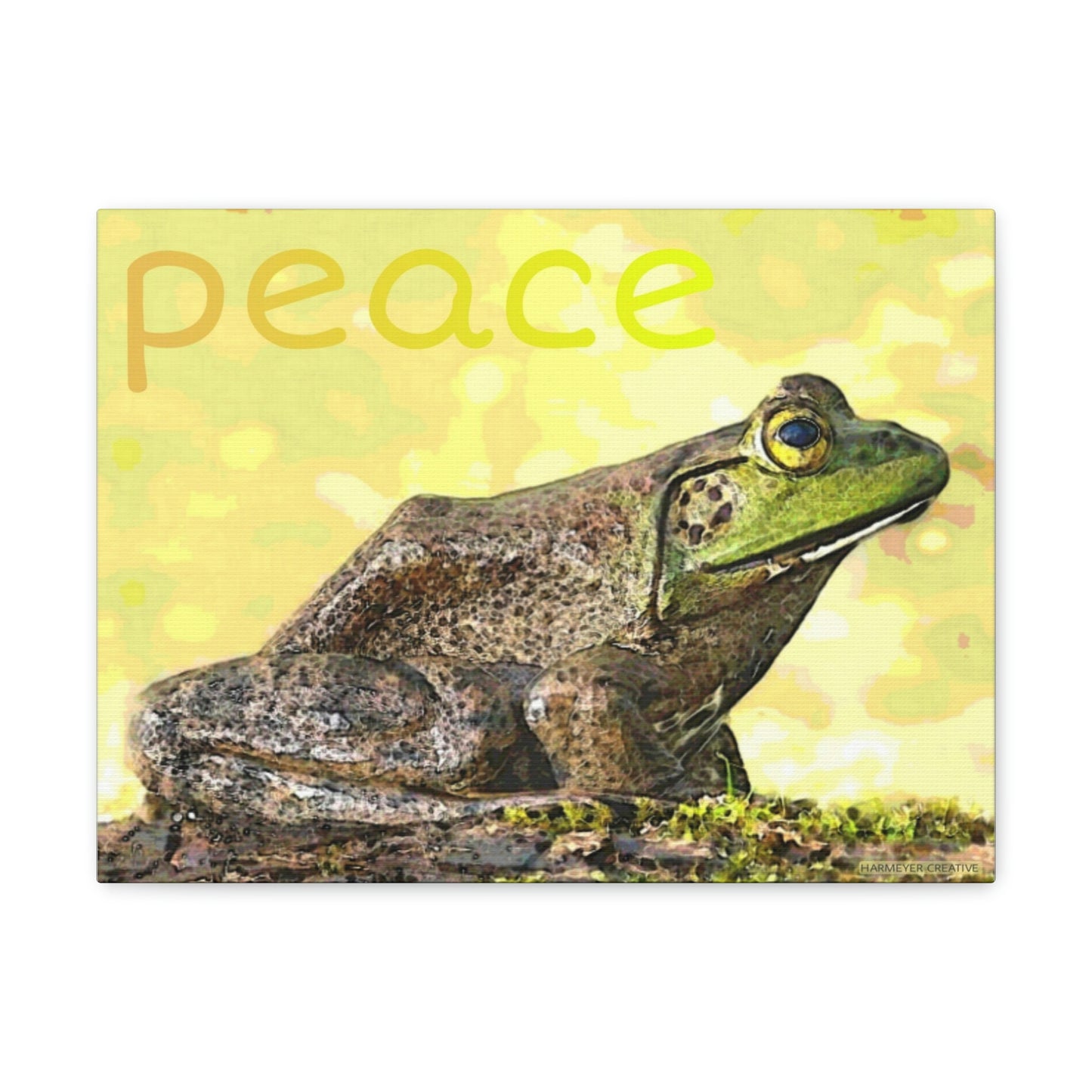 Kisatchie Bullfrog Canvas Gallery Wraps