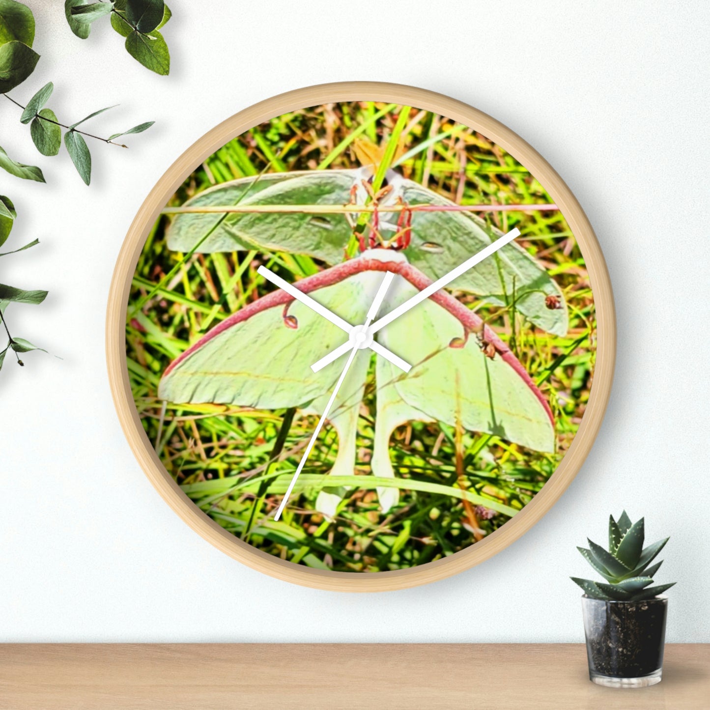 Luna Moths of Kisatchie Wall Clocks