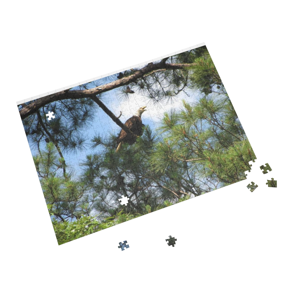 Kincaid Lake Eagle Puzzle (4 Sizes)