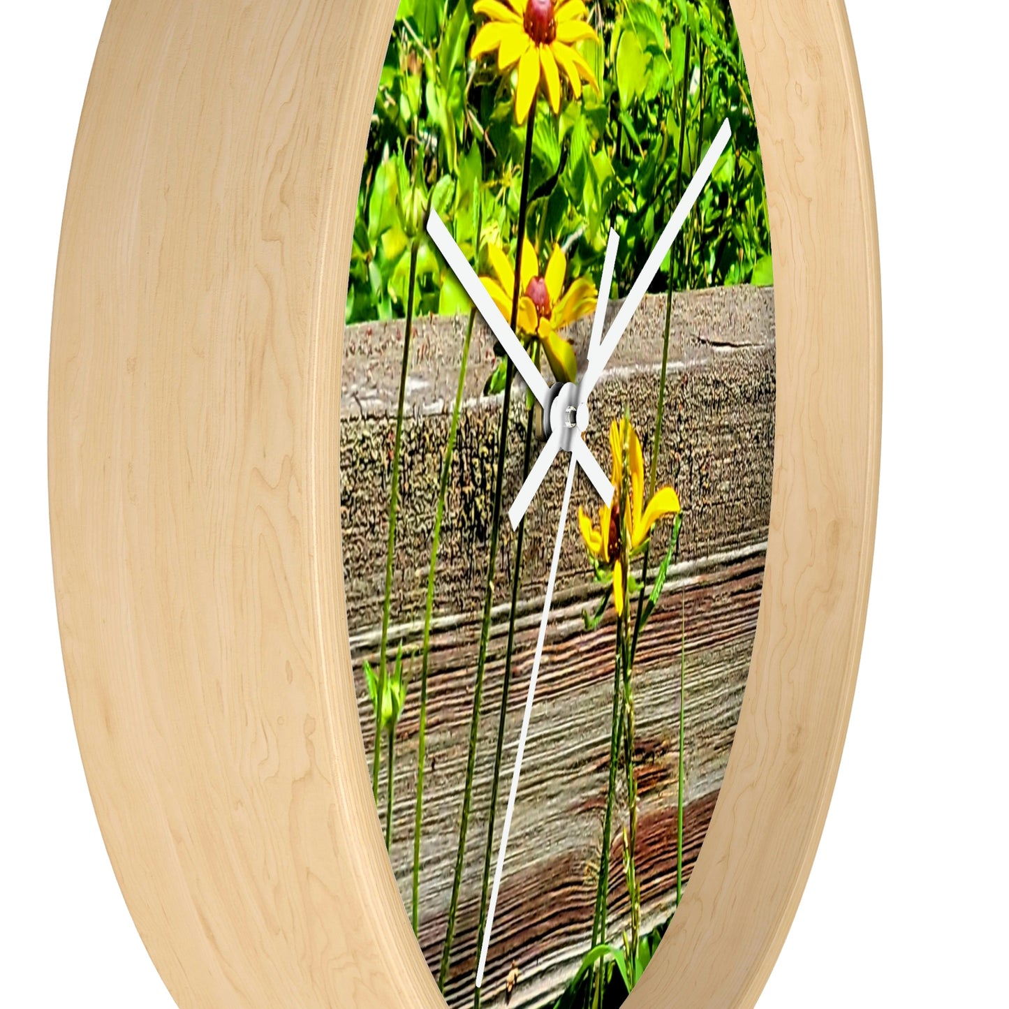 Kisatchie Wildflower Clocks