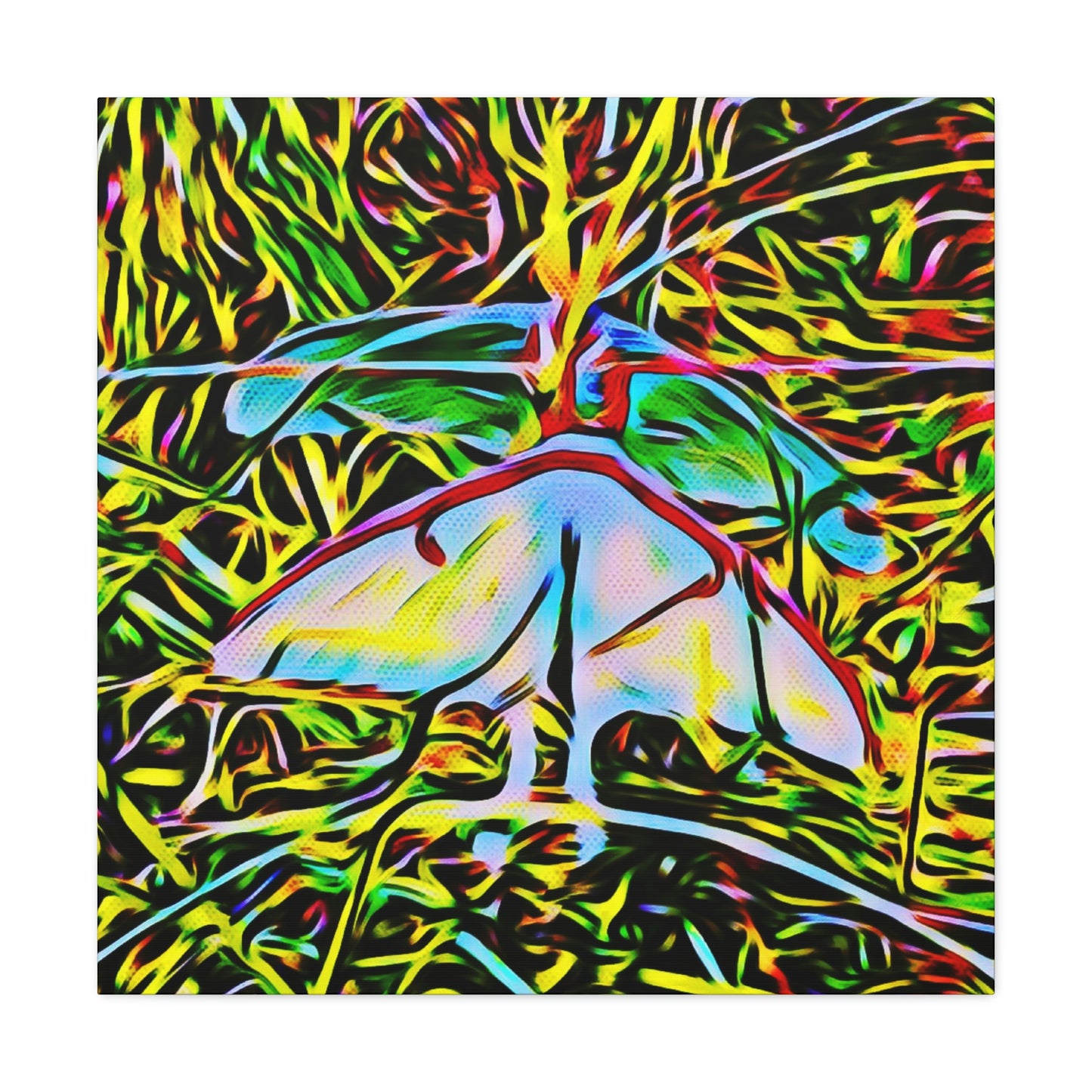 Luna Moths Canvas Gallery Wraps