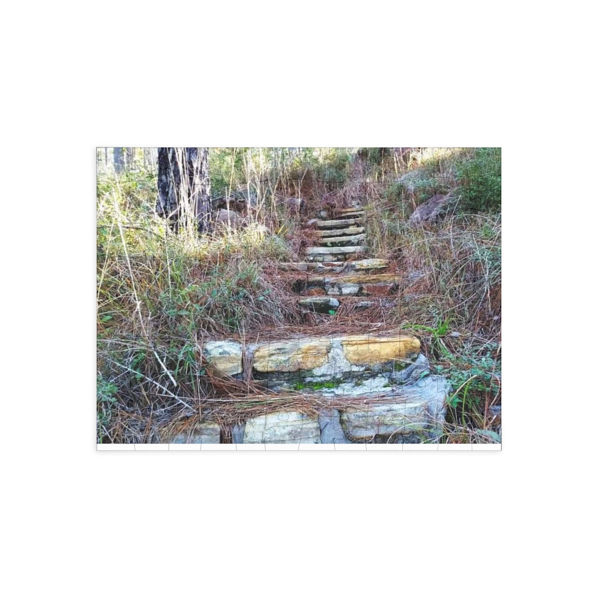 Longleaf Vista Trail Puzzle (4 Sizes)