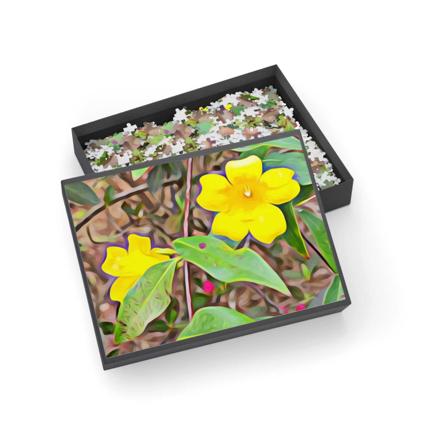 Yellow Jessamine in Kisatchie Puzzles