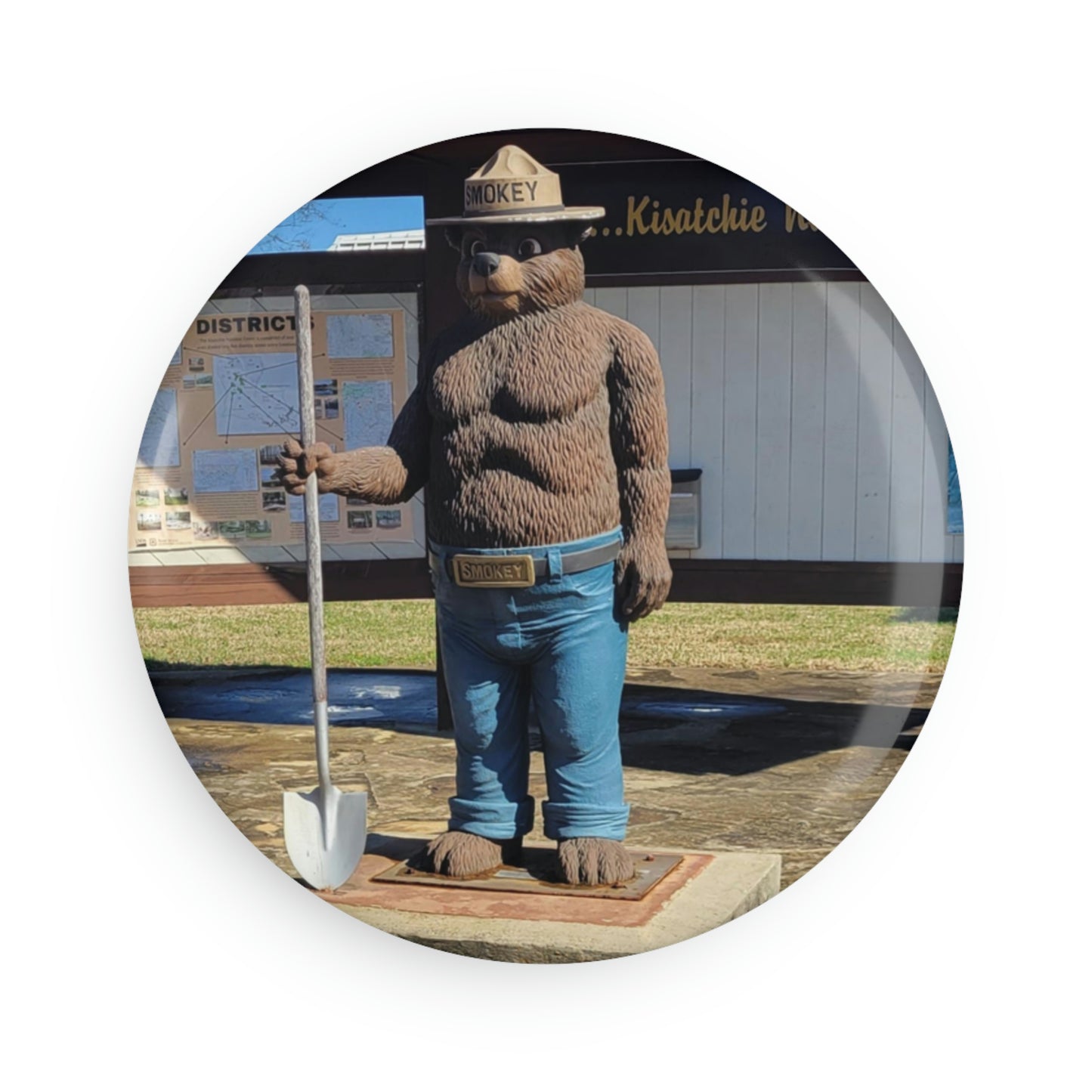 Round Smokey of the Kisatchie Magnets