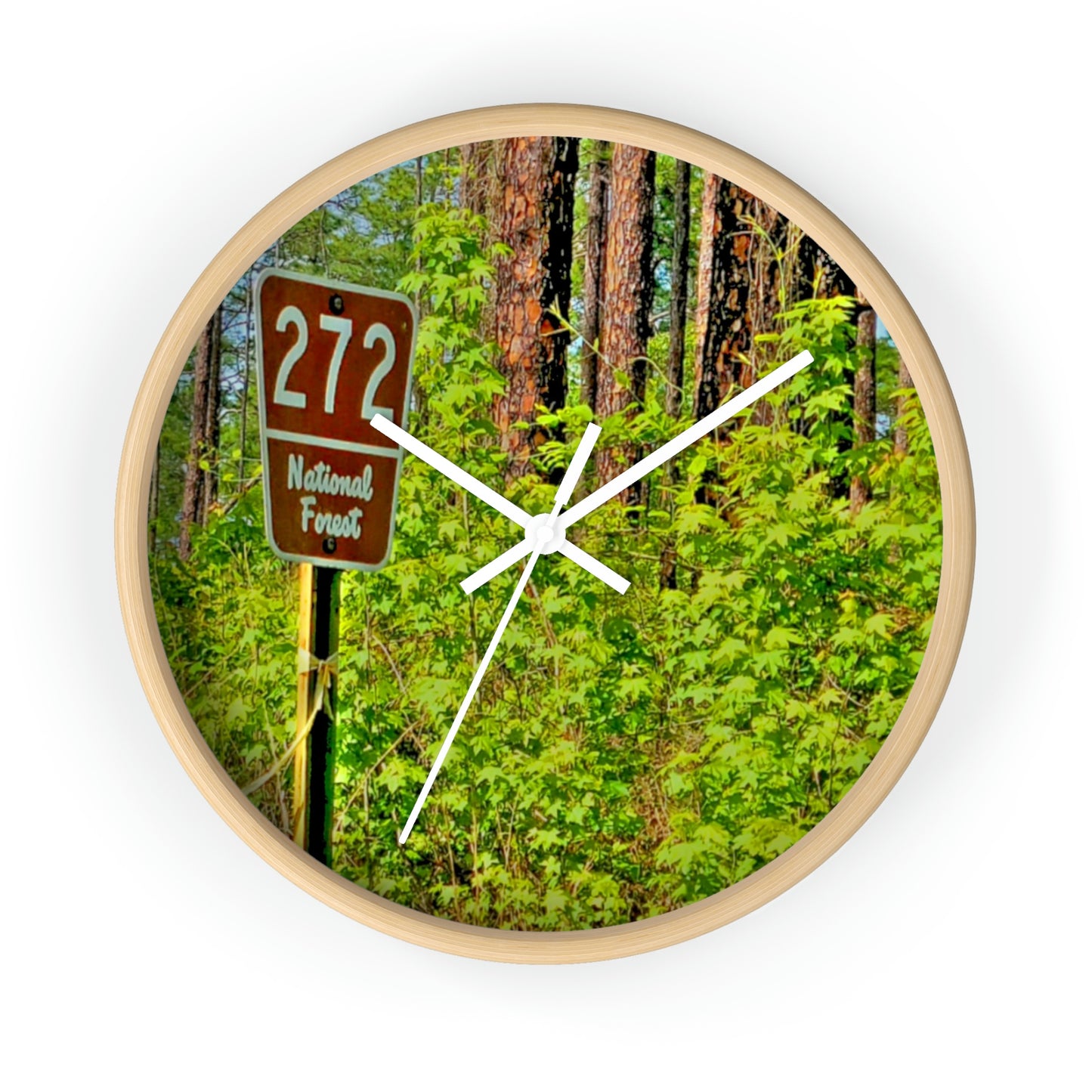 Kisatchie National Forest Wall Clocks