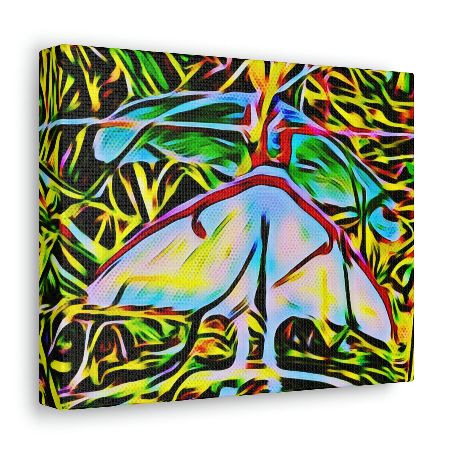 Luna Moths Canvas Gallery Wraps