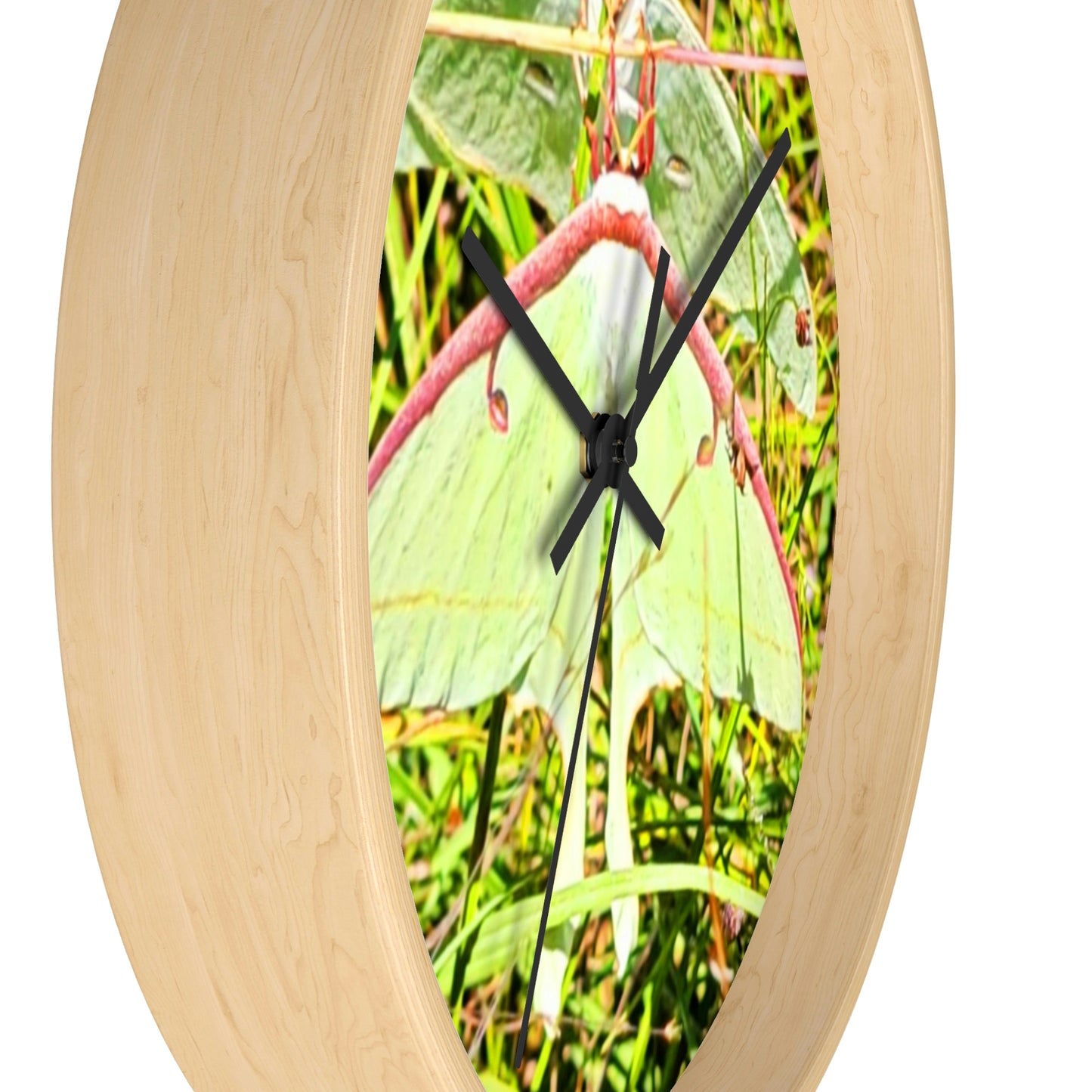 Luna Moths of Kisatchie Wall Clocks