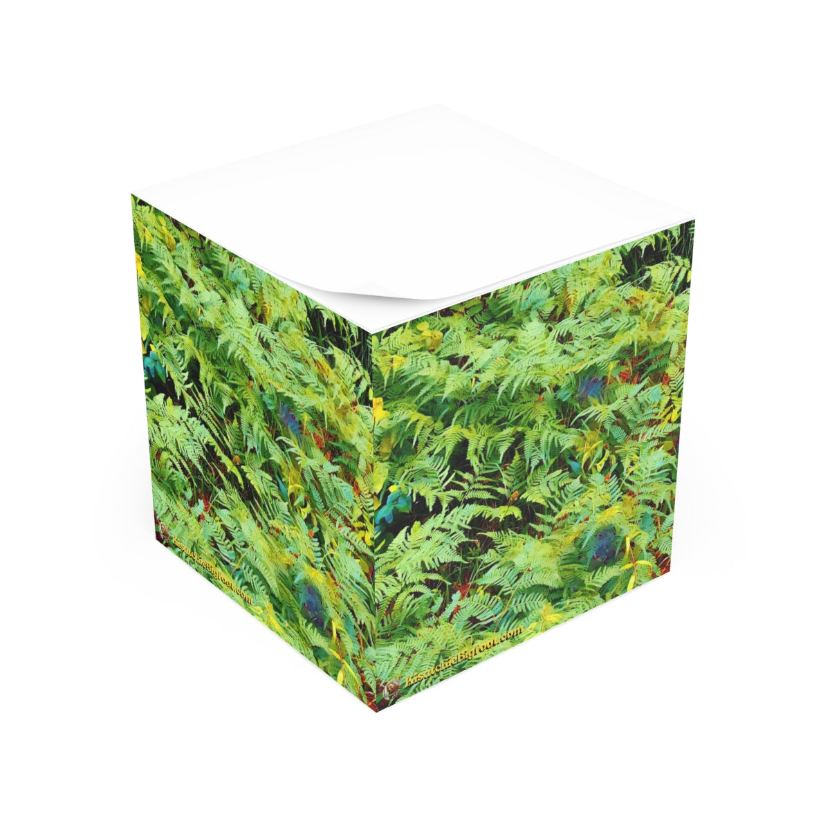 Kisatchie Fern Note Cube