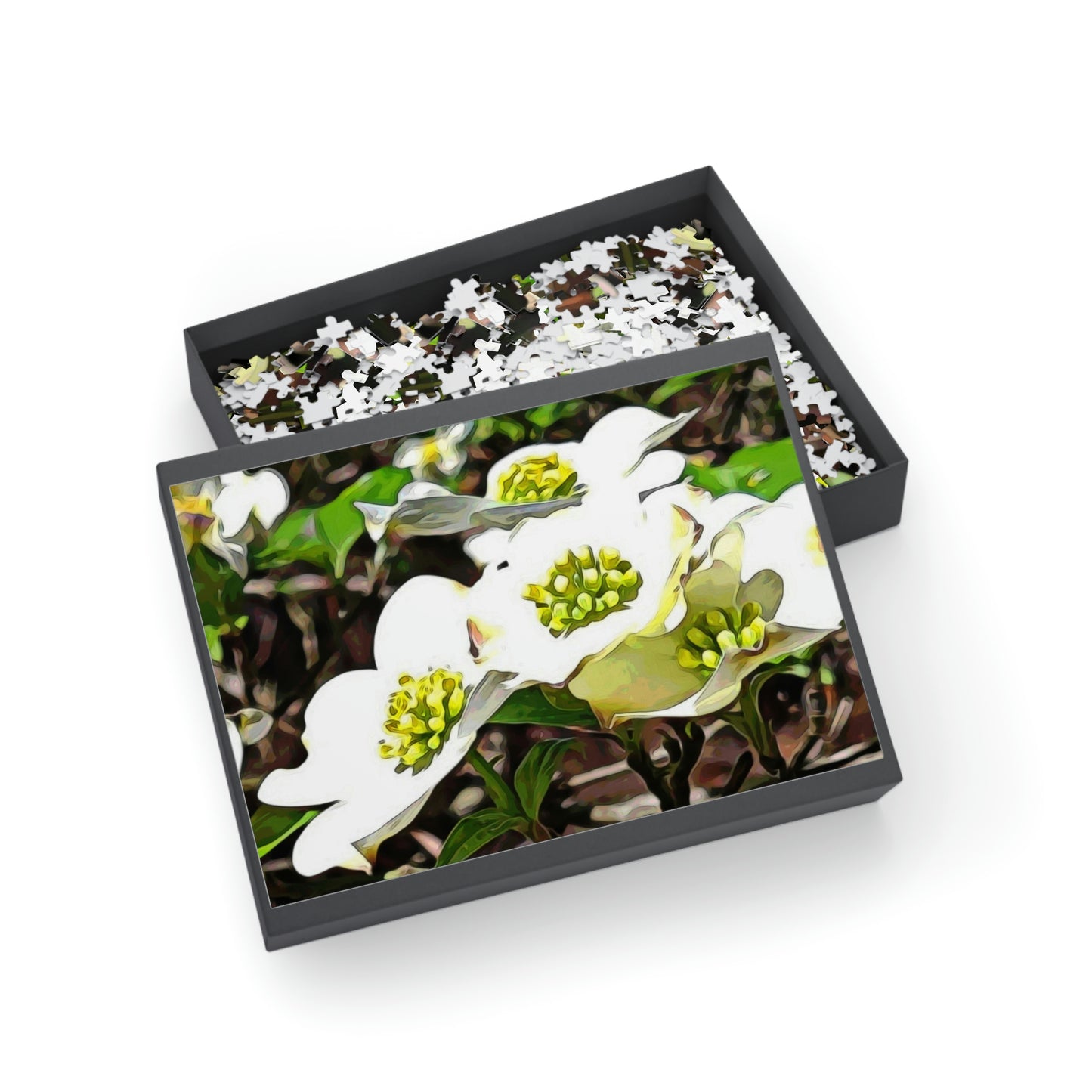 Dogwoods Puzzles