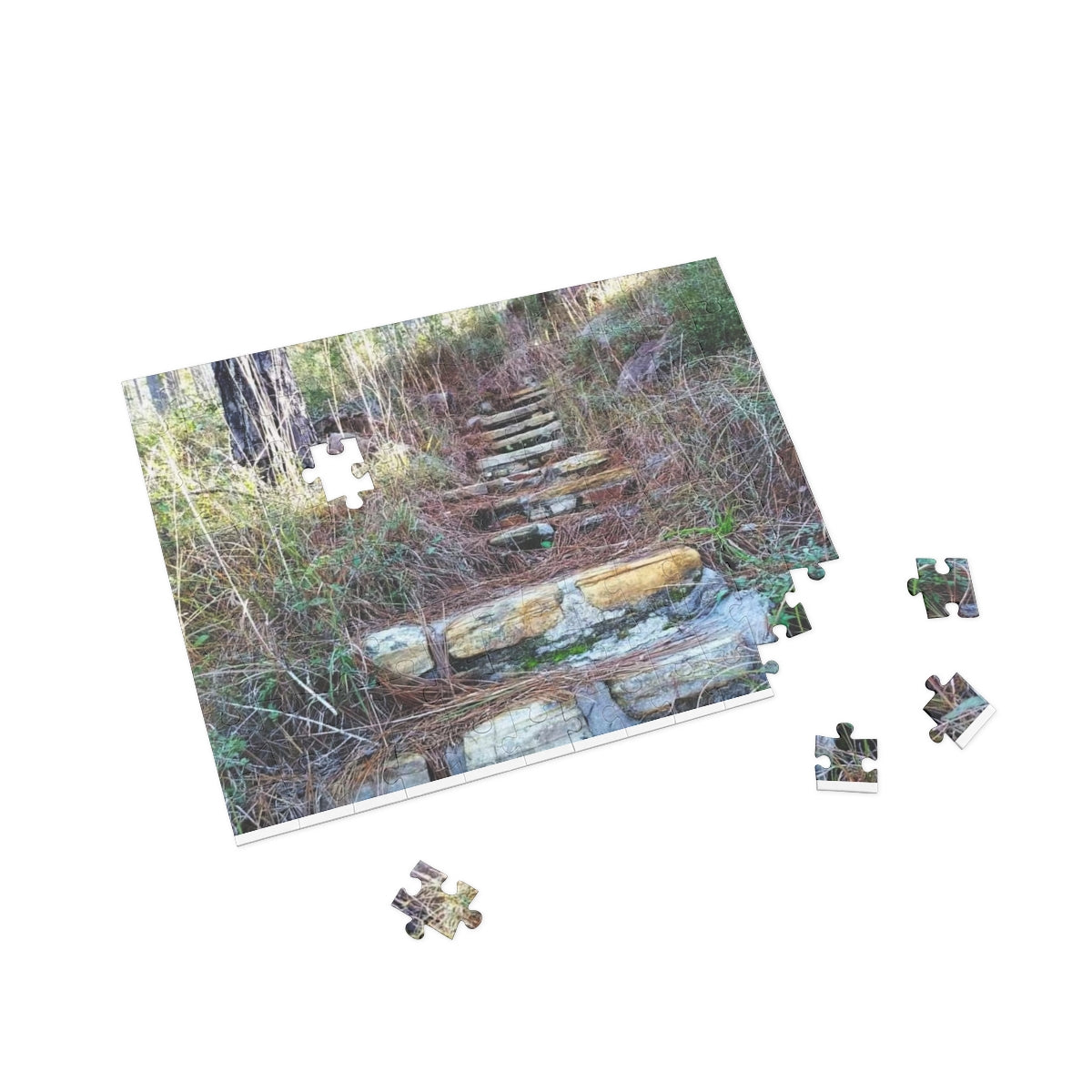 Longleaf Vista Trail Puzzle (4 Sizes)