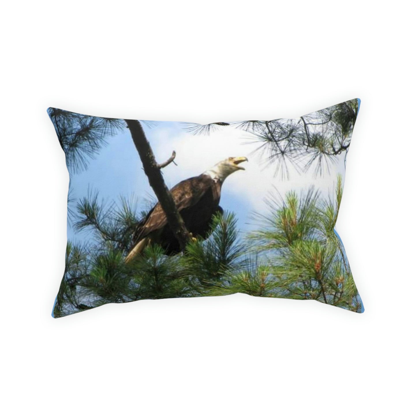 Kincaid Eagle Broadcloth Pillow