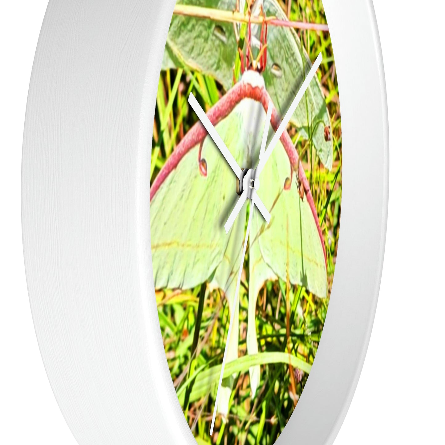 Luna Moths of Kisatchie Wall Clocks