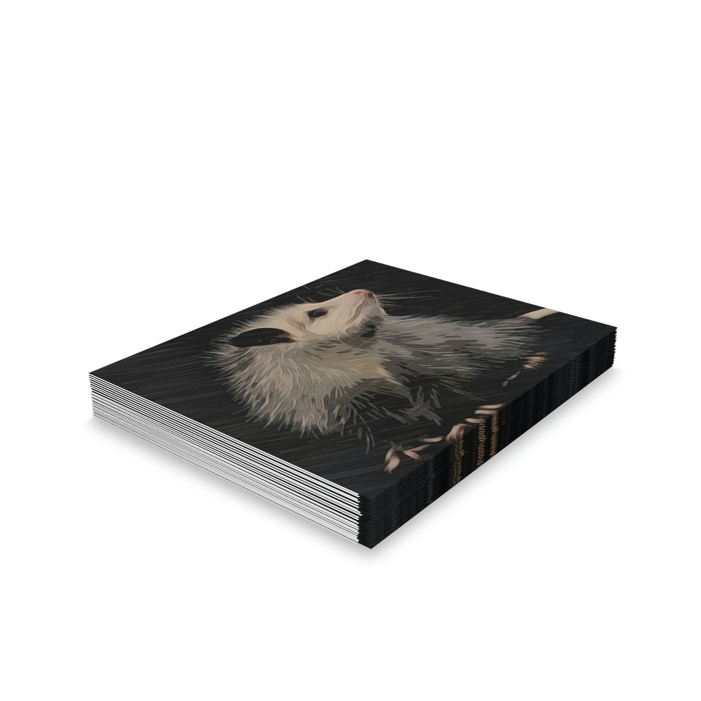 Louisiana Opossum Notecards (8, 16, and 24 pcs)