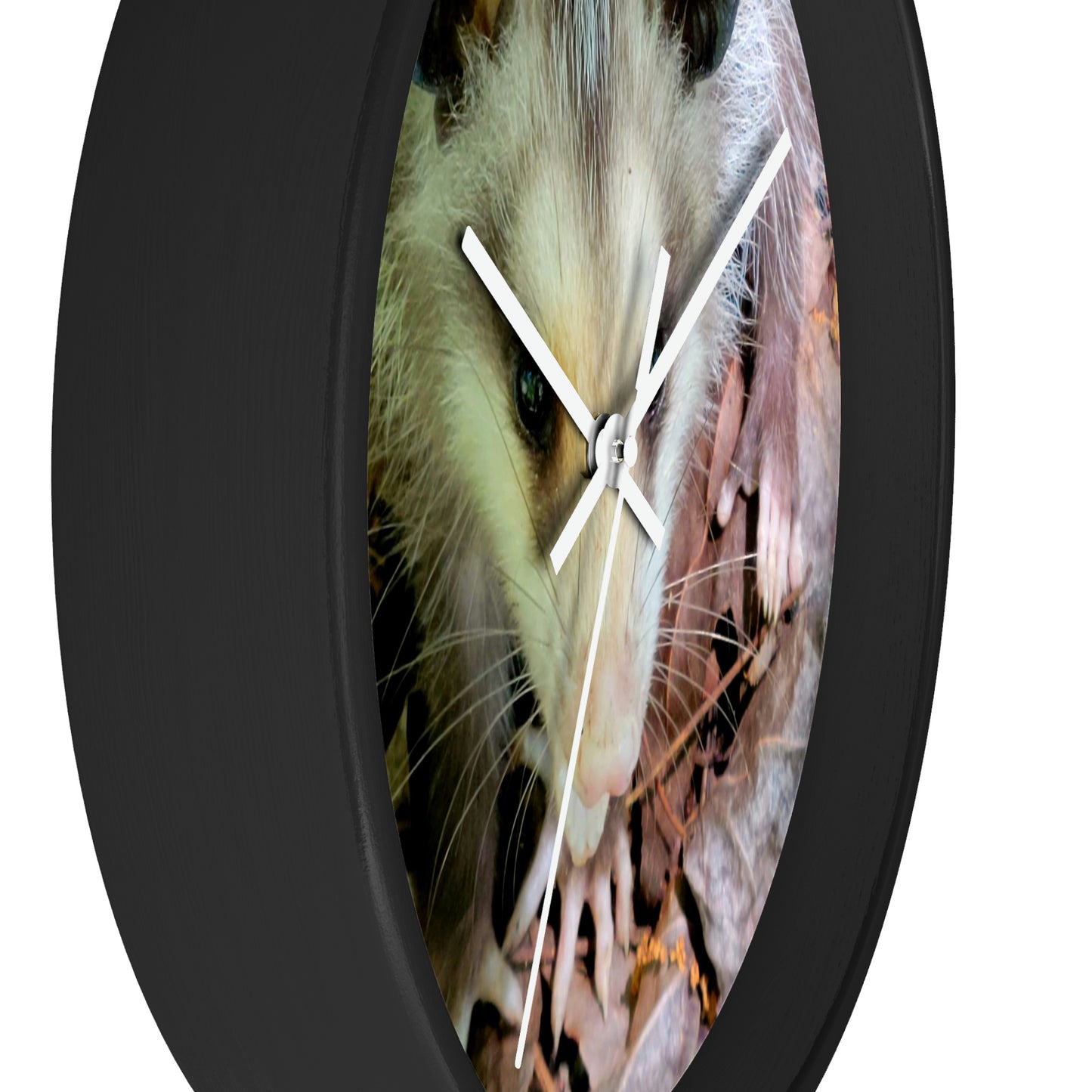 Kisatchie Opossum Wall Clocks