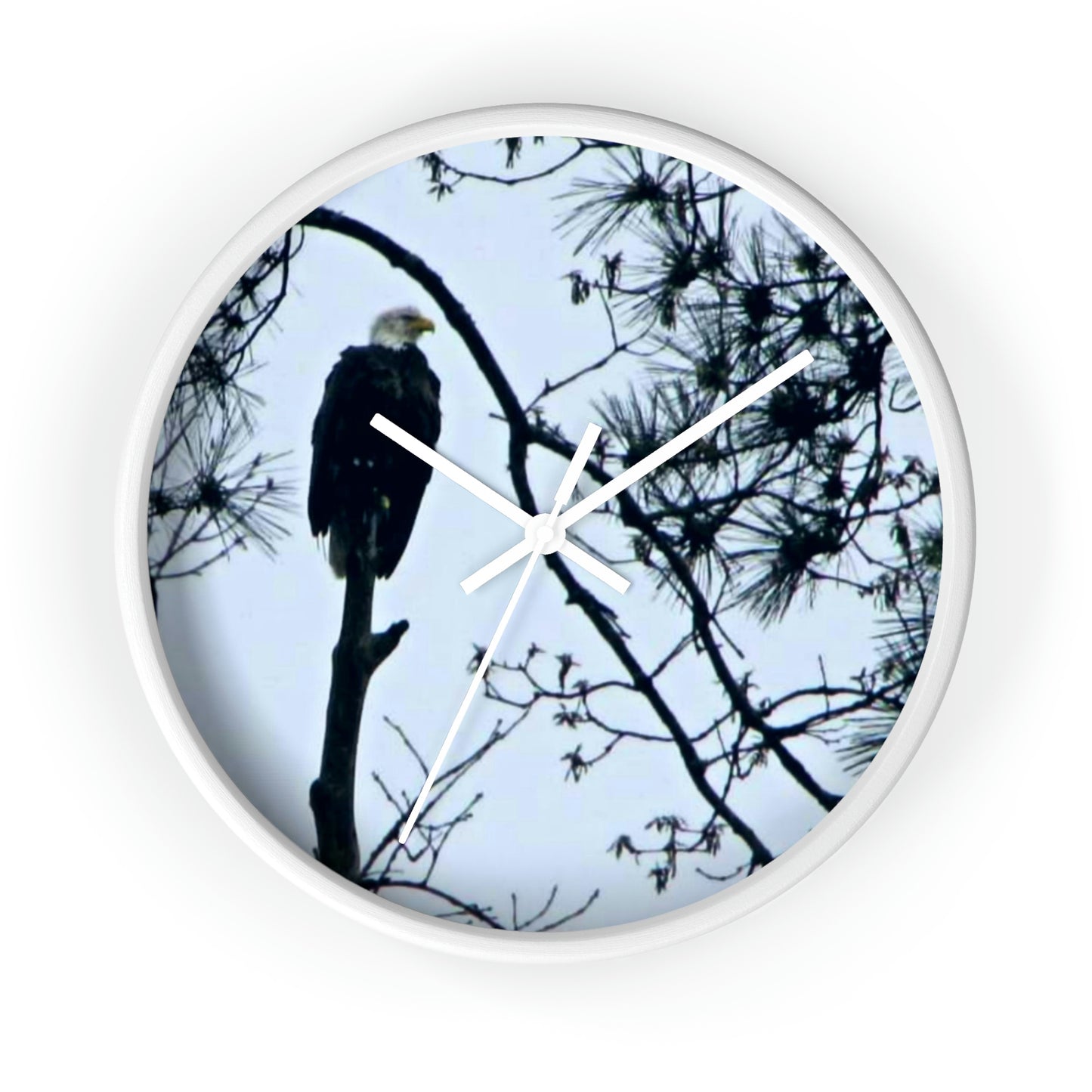 Guardian of the Kisatchie Wall Clocks