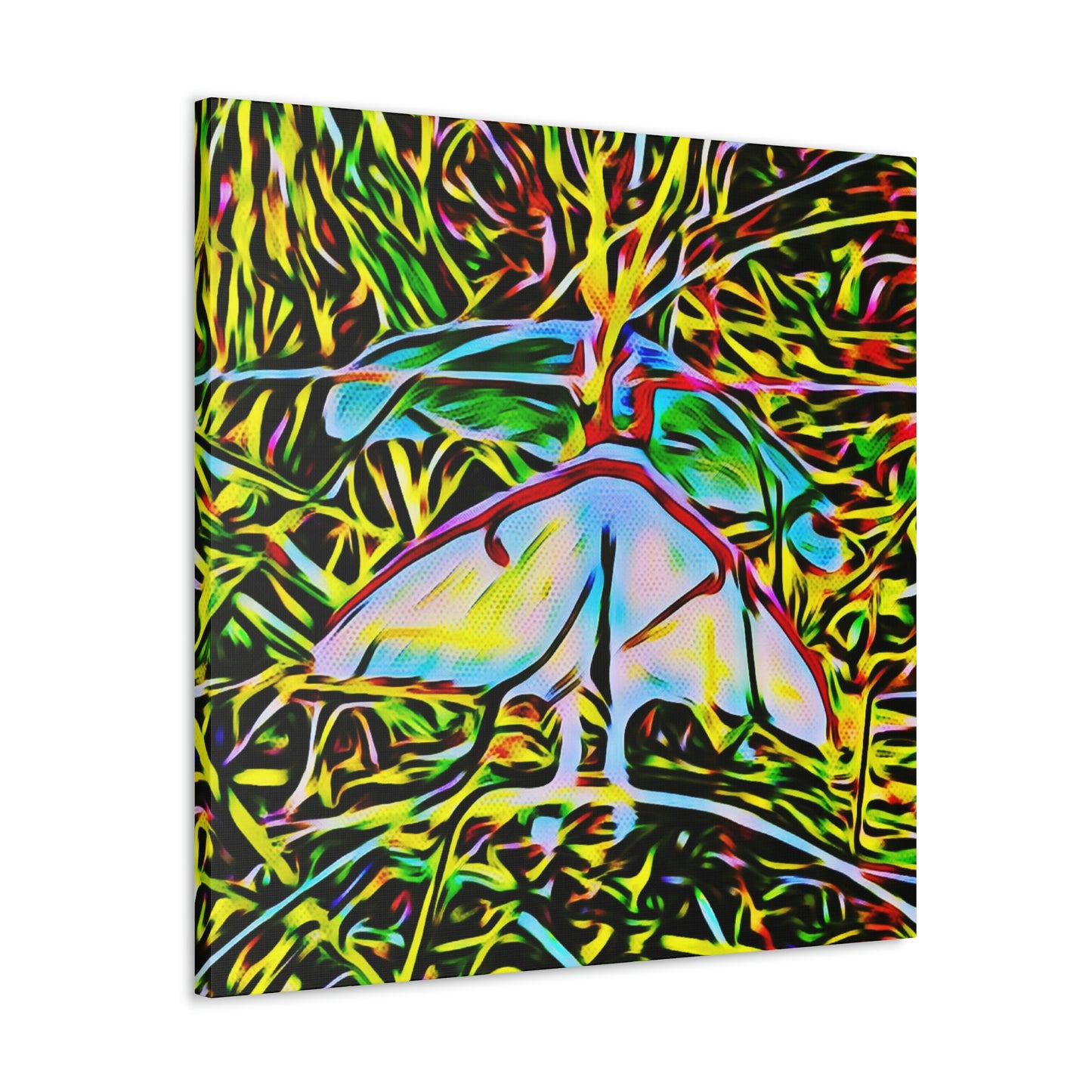 Luna Moths Canvas Gallery Wraps