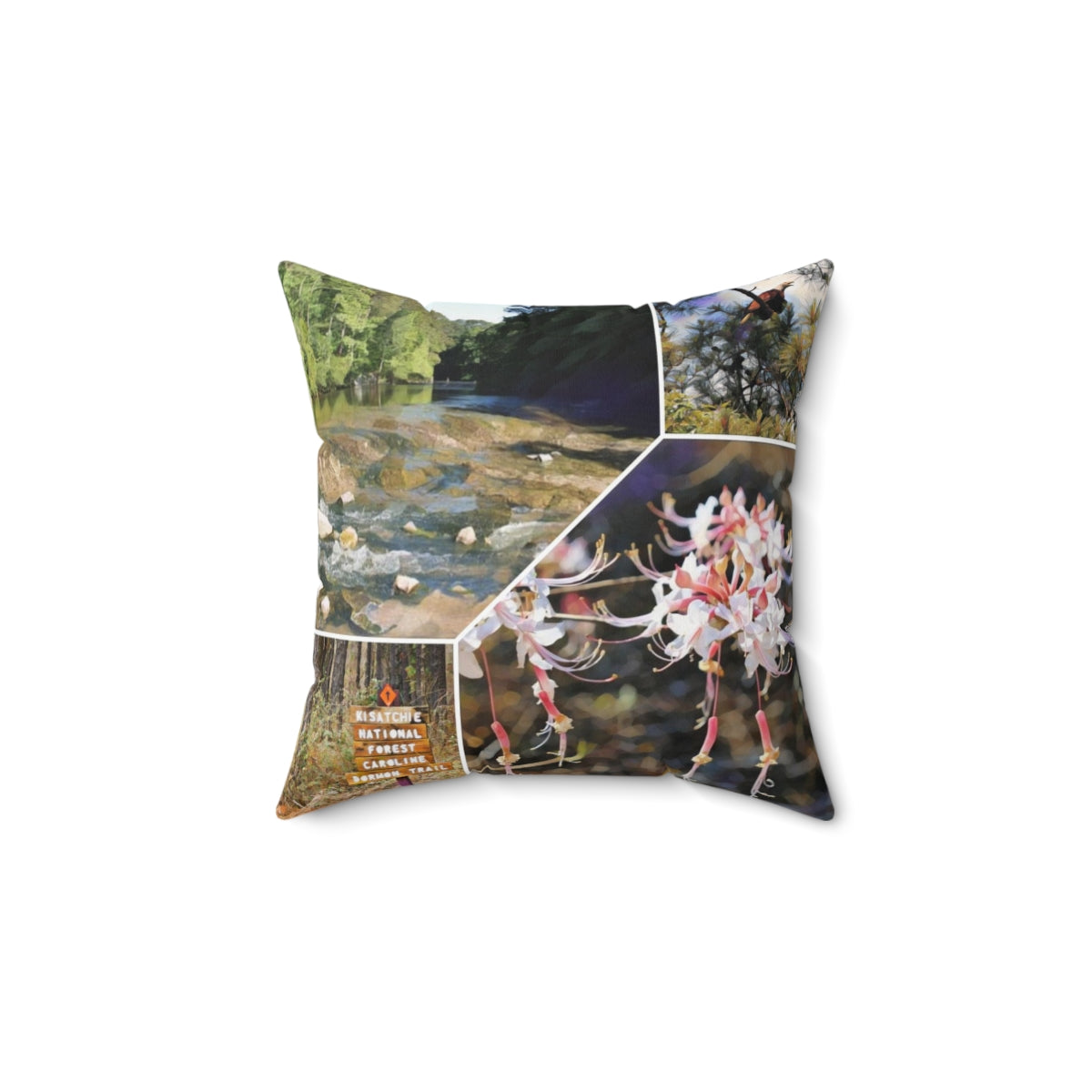 Kisatchie National Forest Square Pillow