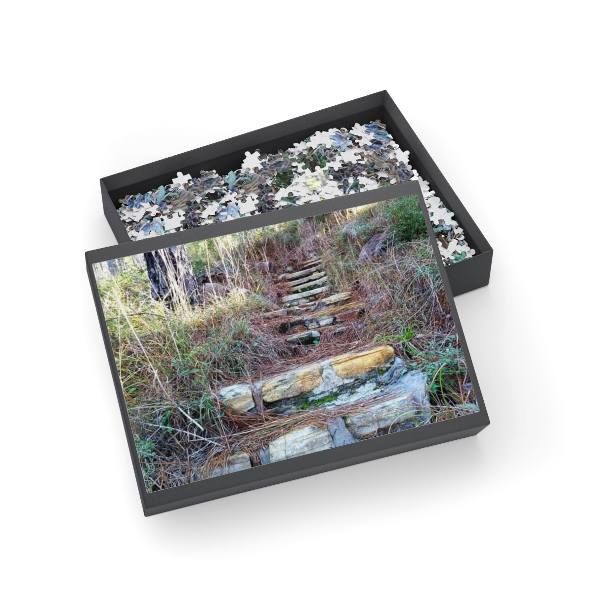 Longleaf Vista Trail Puzzle (4 Sizes)