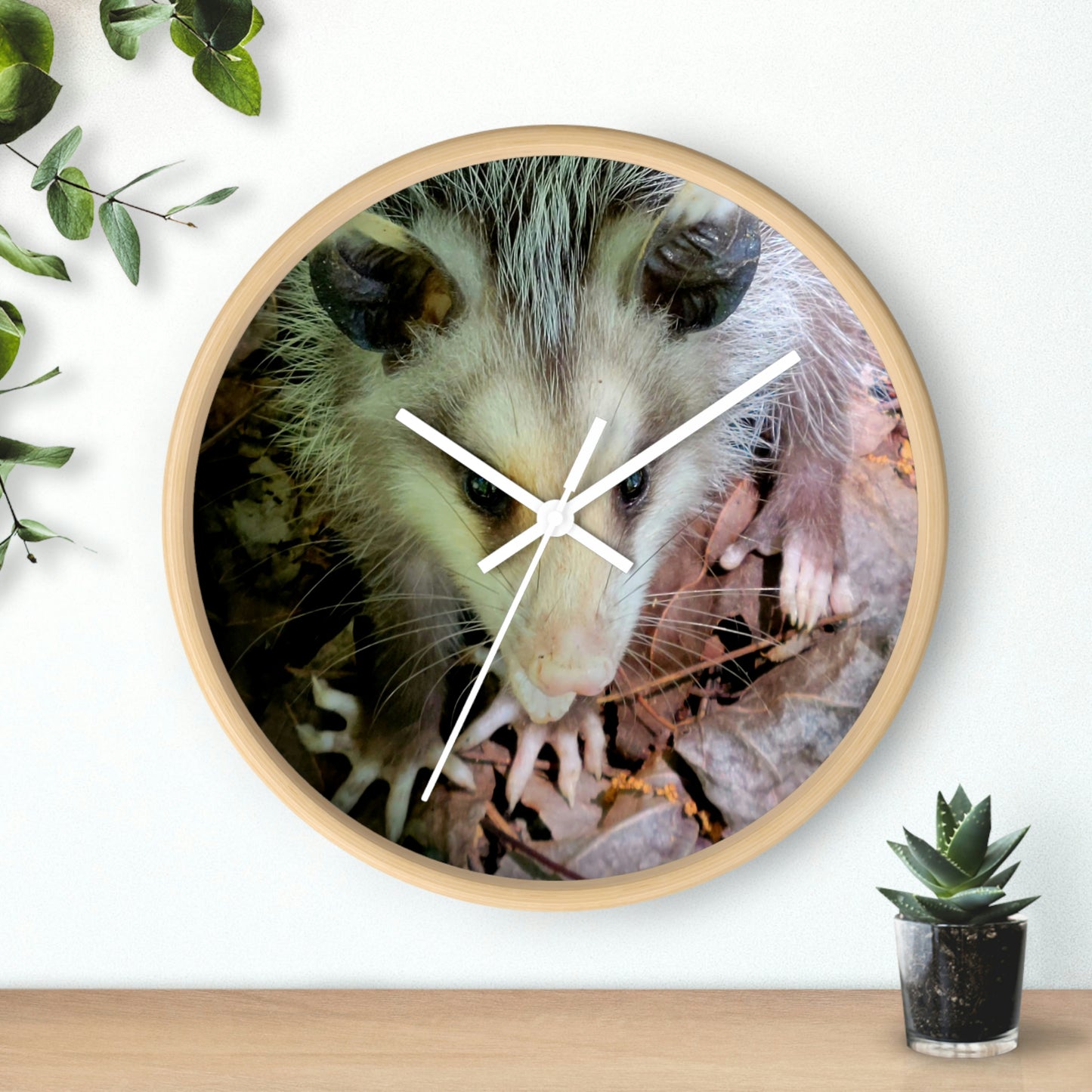 Kisatchie Opossum Wall Clocks