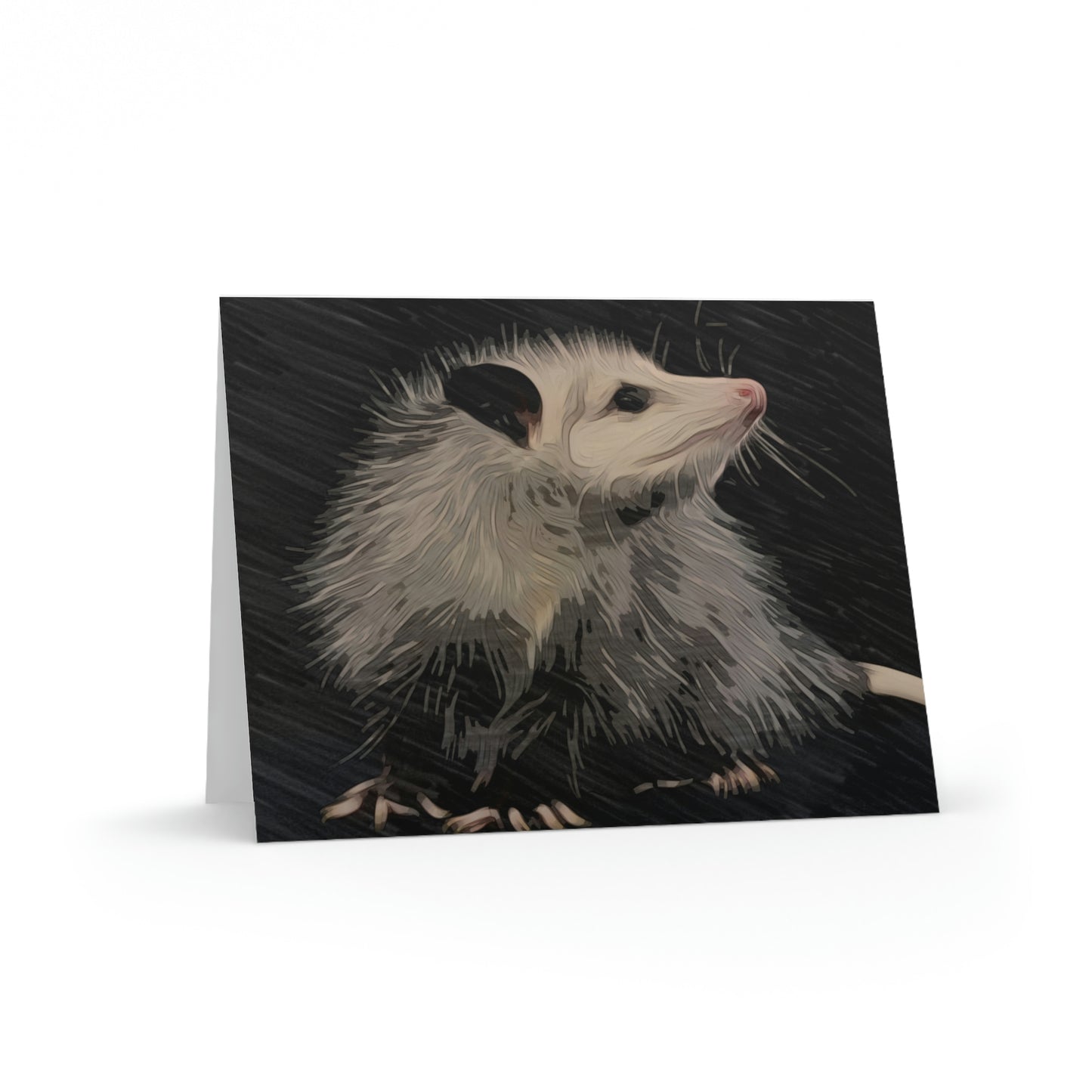 Louisiana Opossum Notecards (8, 16, and 24 pcs)