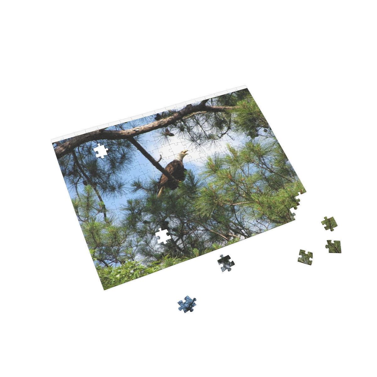 Kincaid Lake Eagle Puzzle (4 Sizes)