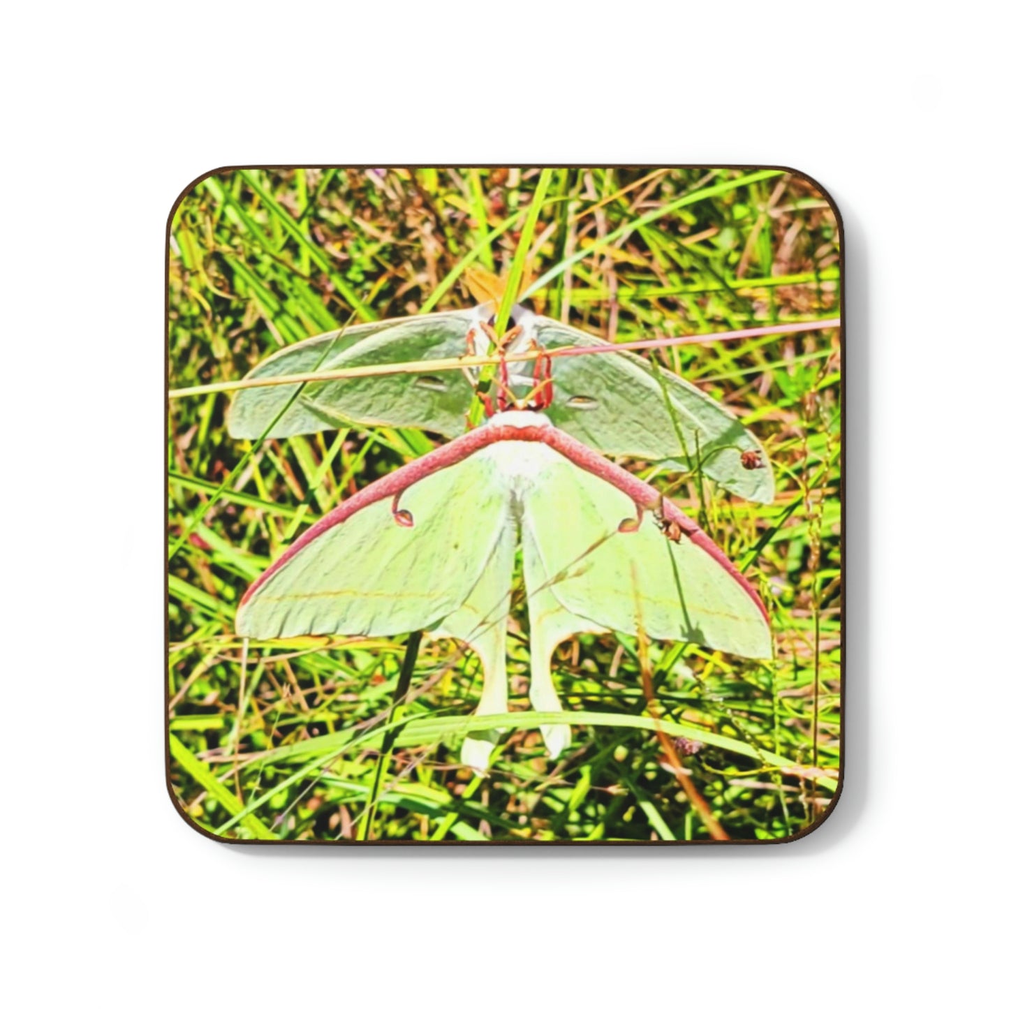 Luna Moths Hardboard Back Coaster