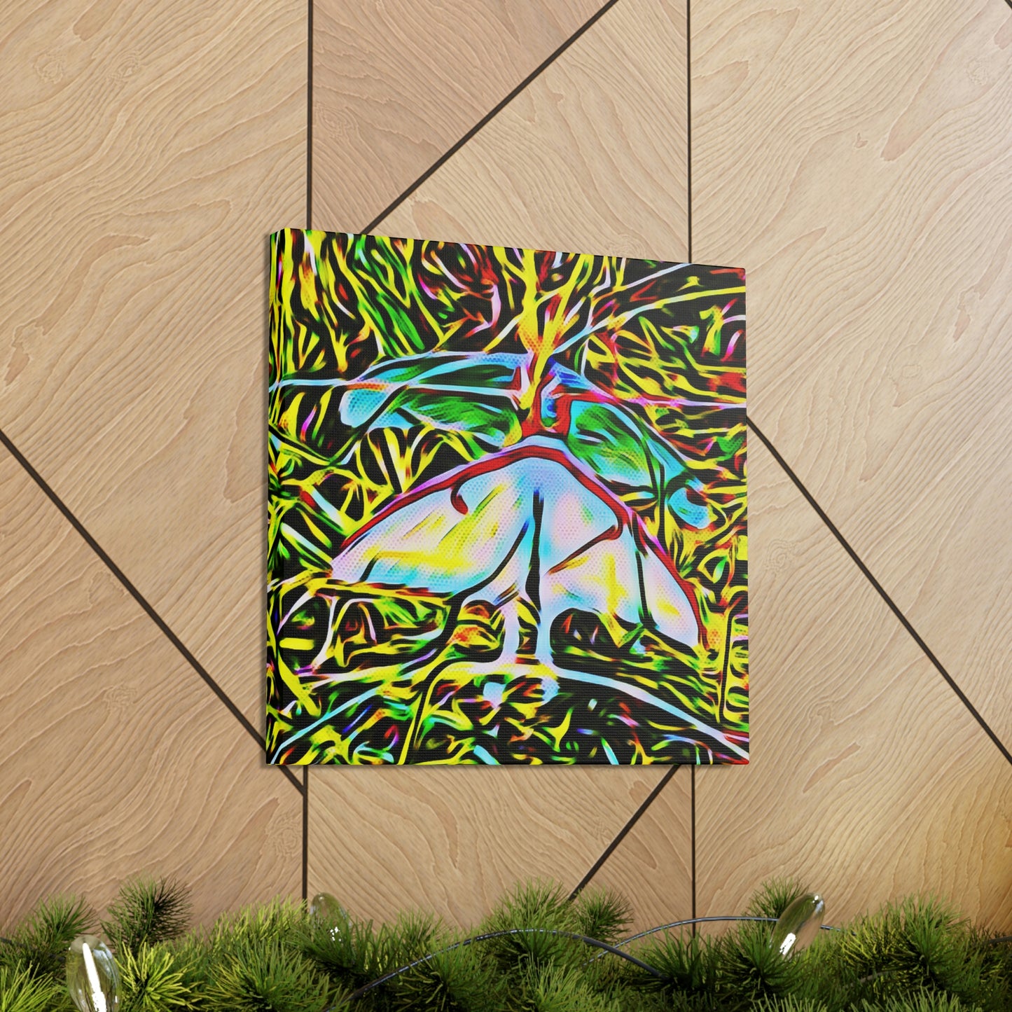 Luna Moths Canvas Gallery Wraps