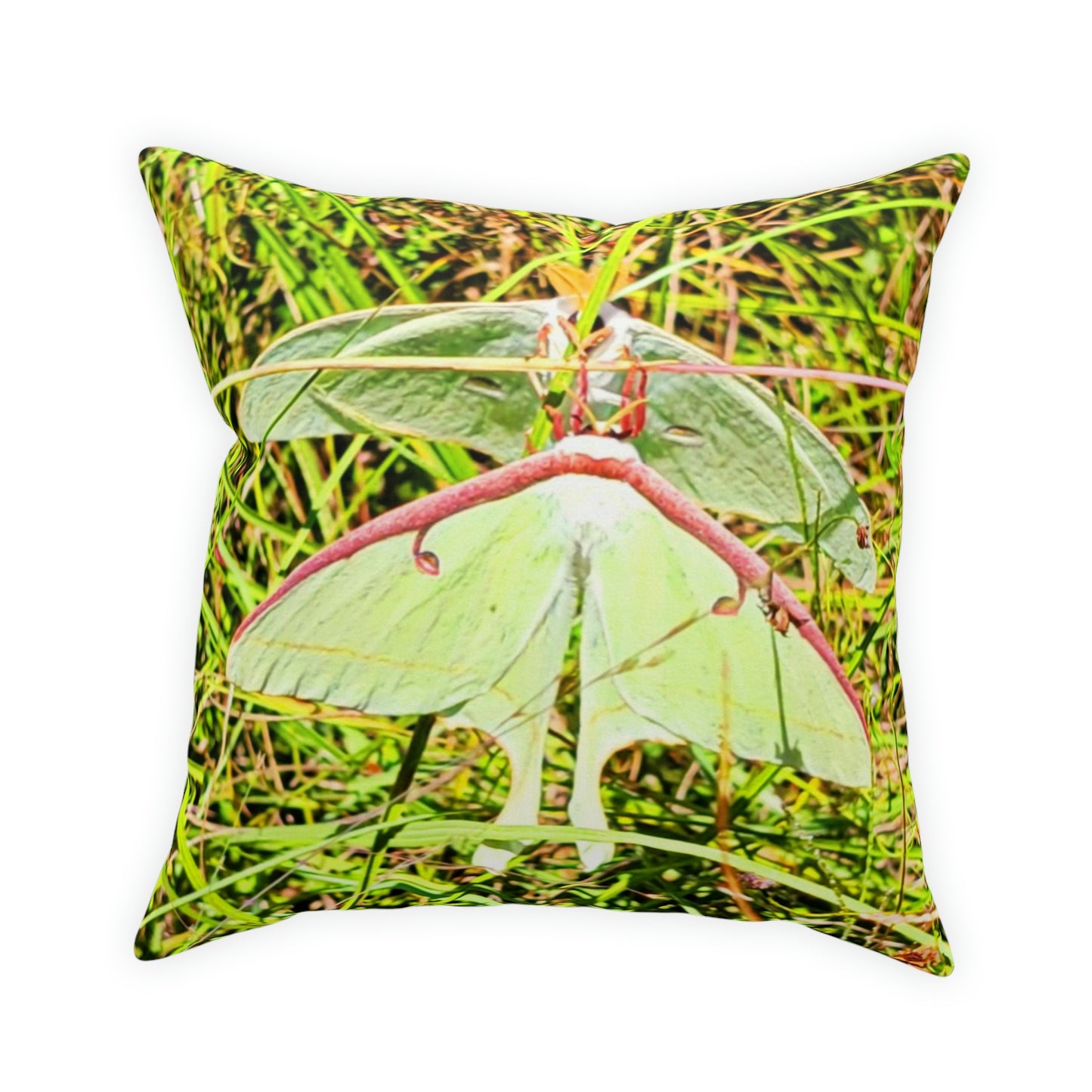 Luna Moths Broadcloth Pillow