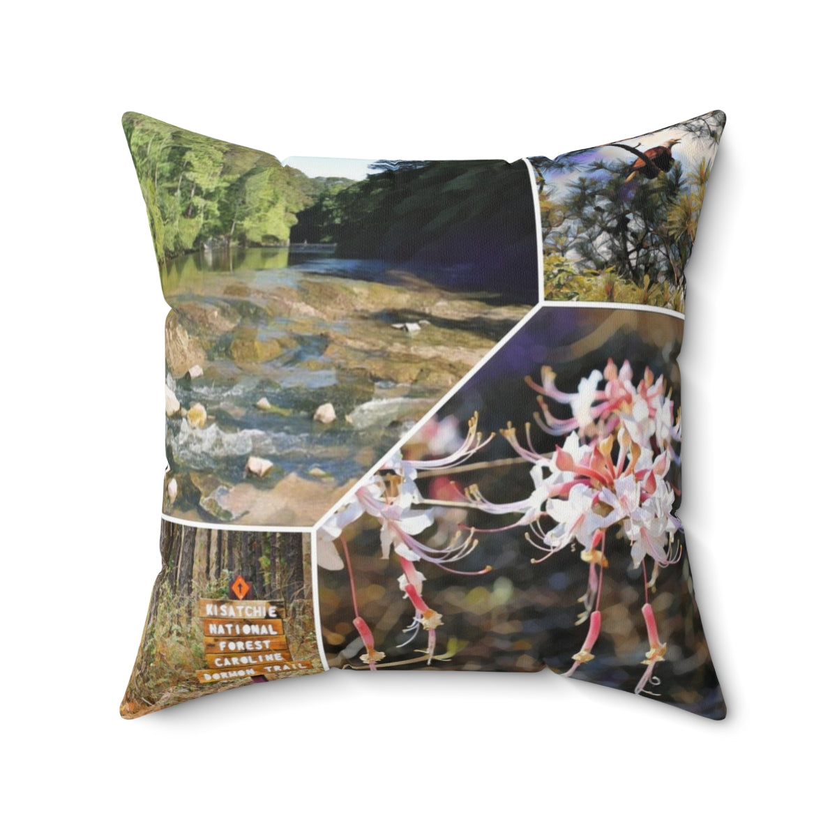 Kisatchie National Forest Square Pillow