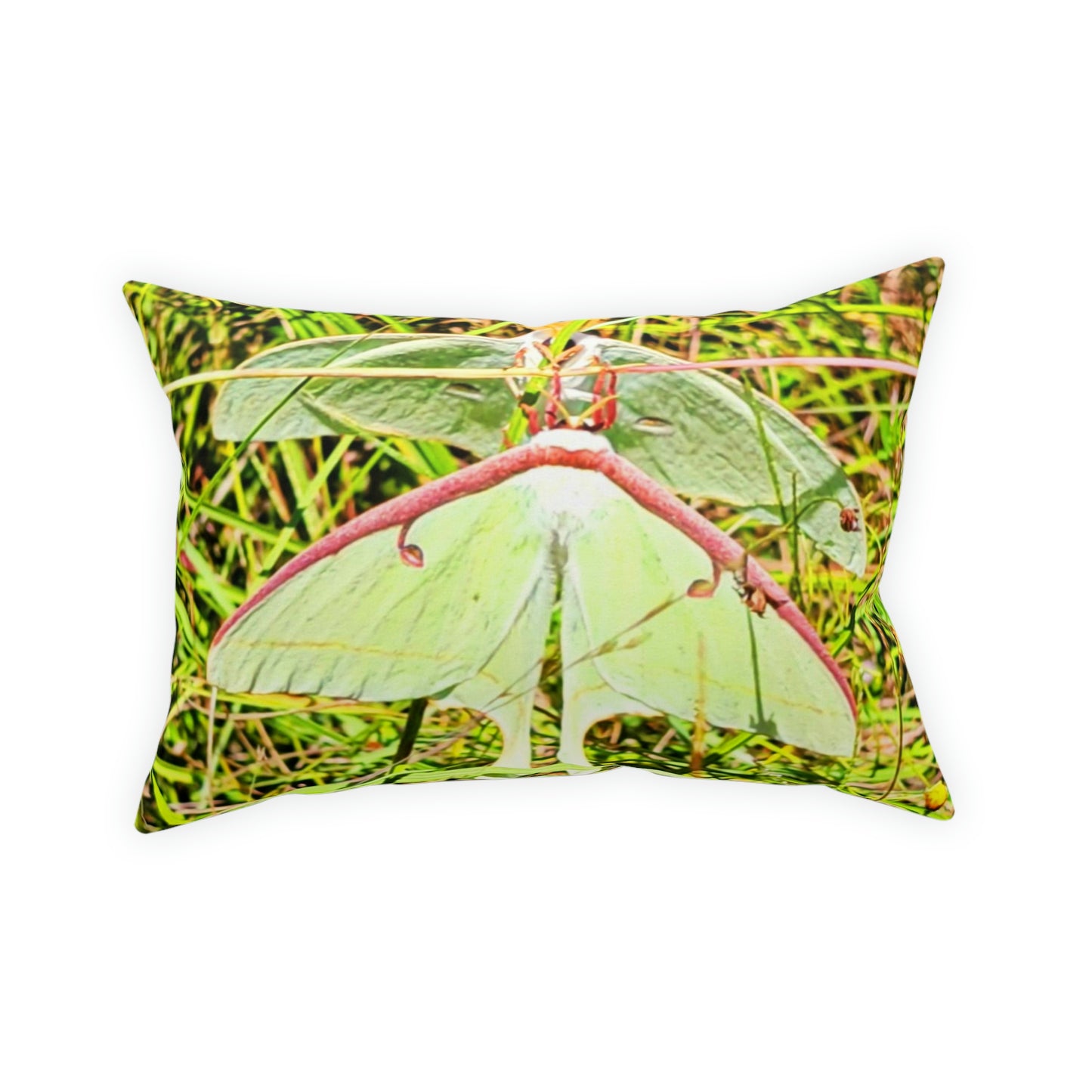 Luna Moths Broadcloth Pillow