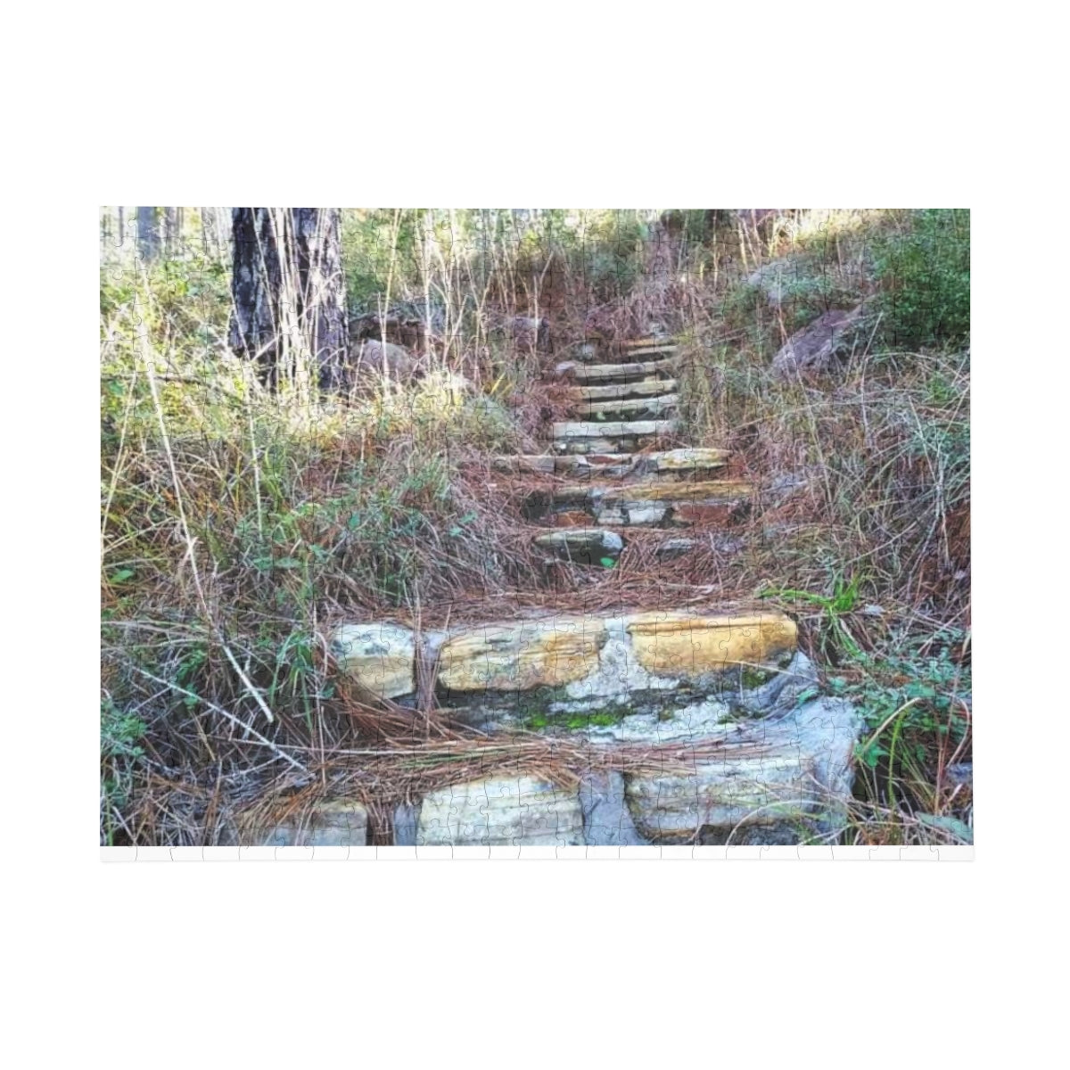 Longleaf Vista Trail Puzzle (4 Sizes)