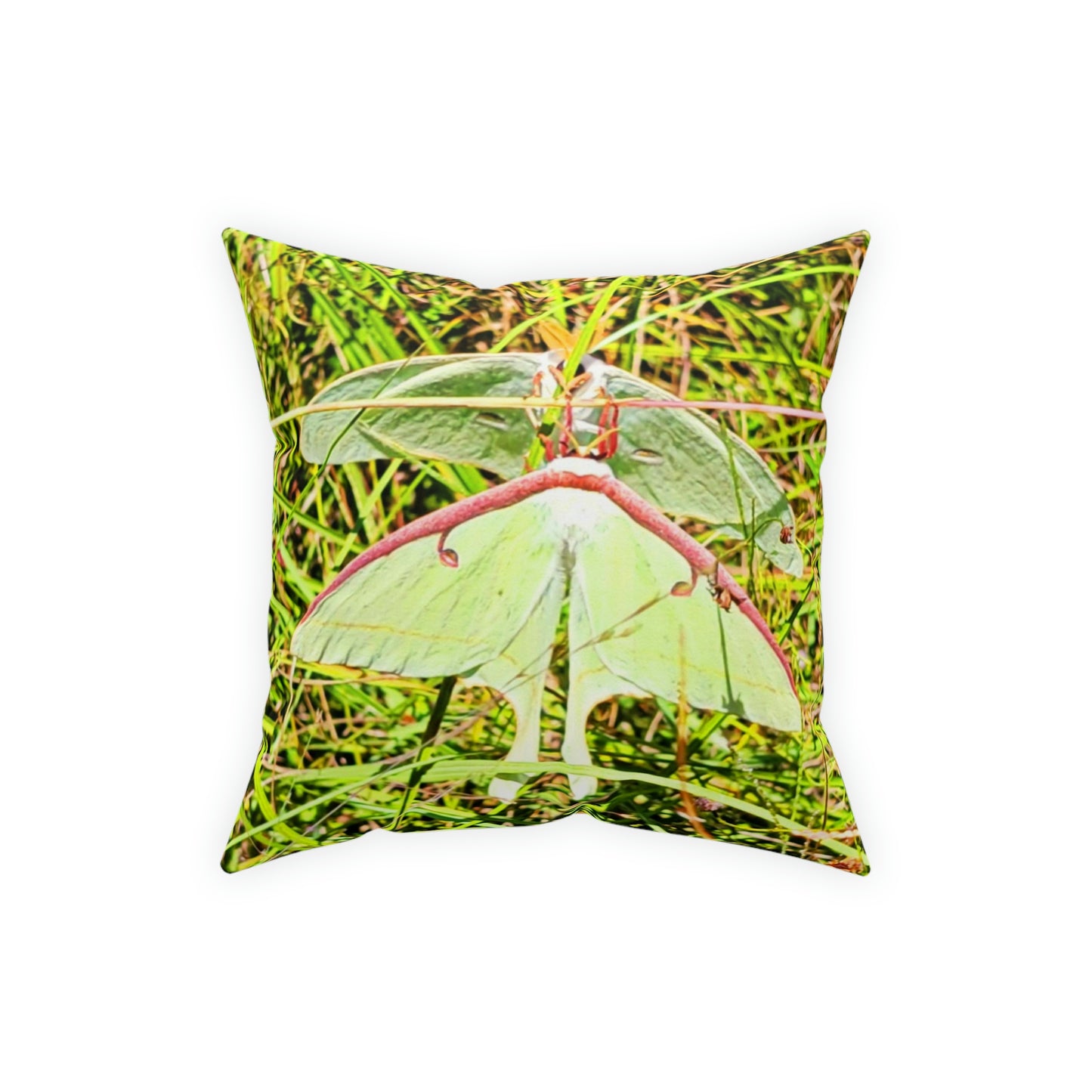 Luna Moths Broadcloth Pillow