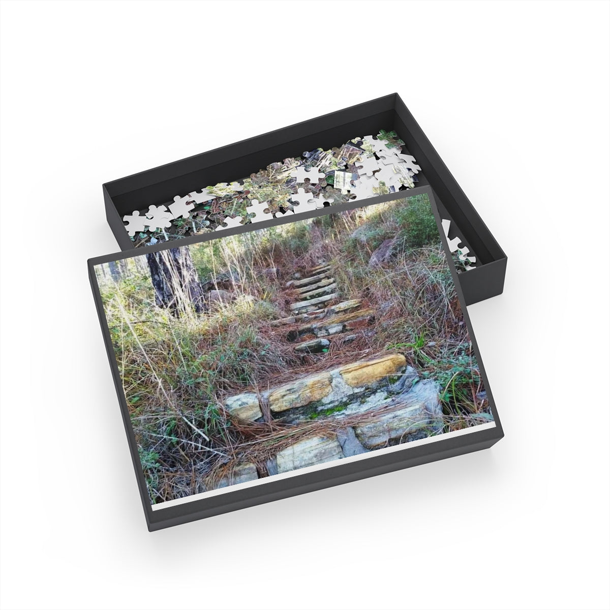 Longleaf Vista Trail Puzzle (4 Sizes)